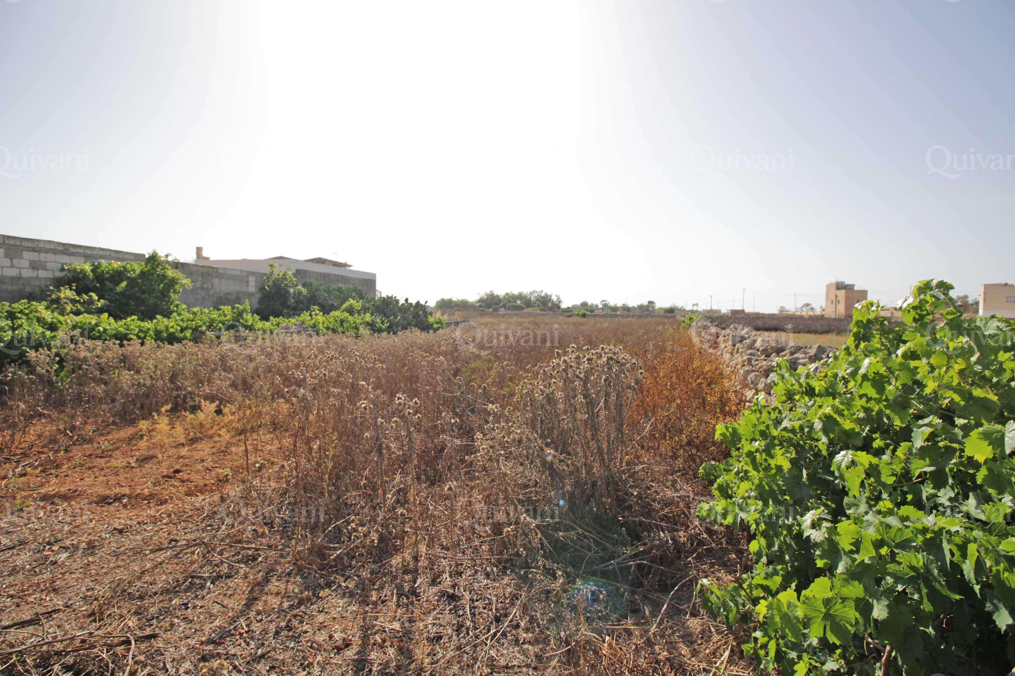 Xghajra, Unconverted Farmhouse