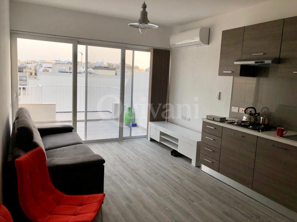 Gzira, Furnished Penthouse