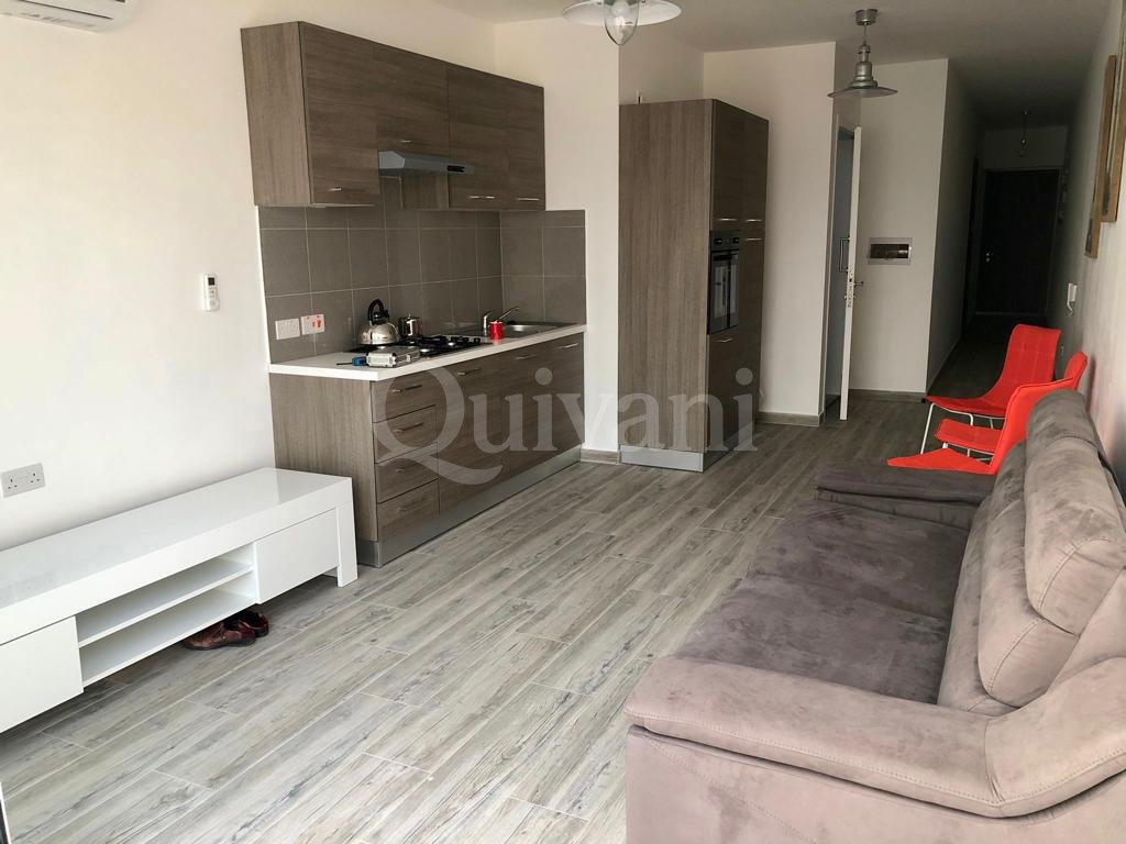 Gzira, Furnished Penthouse