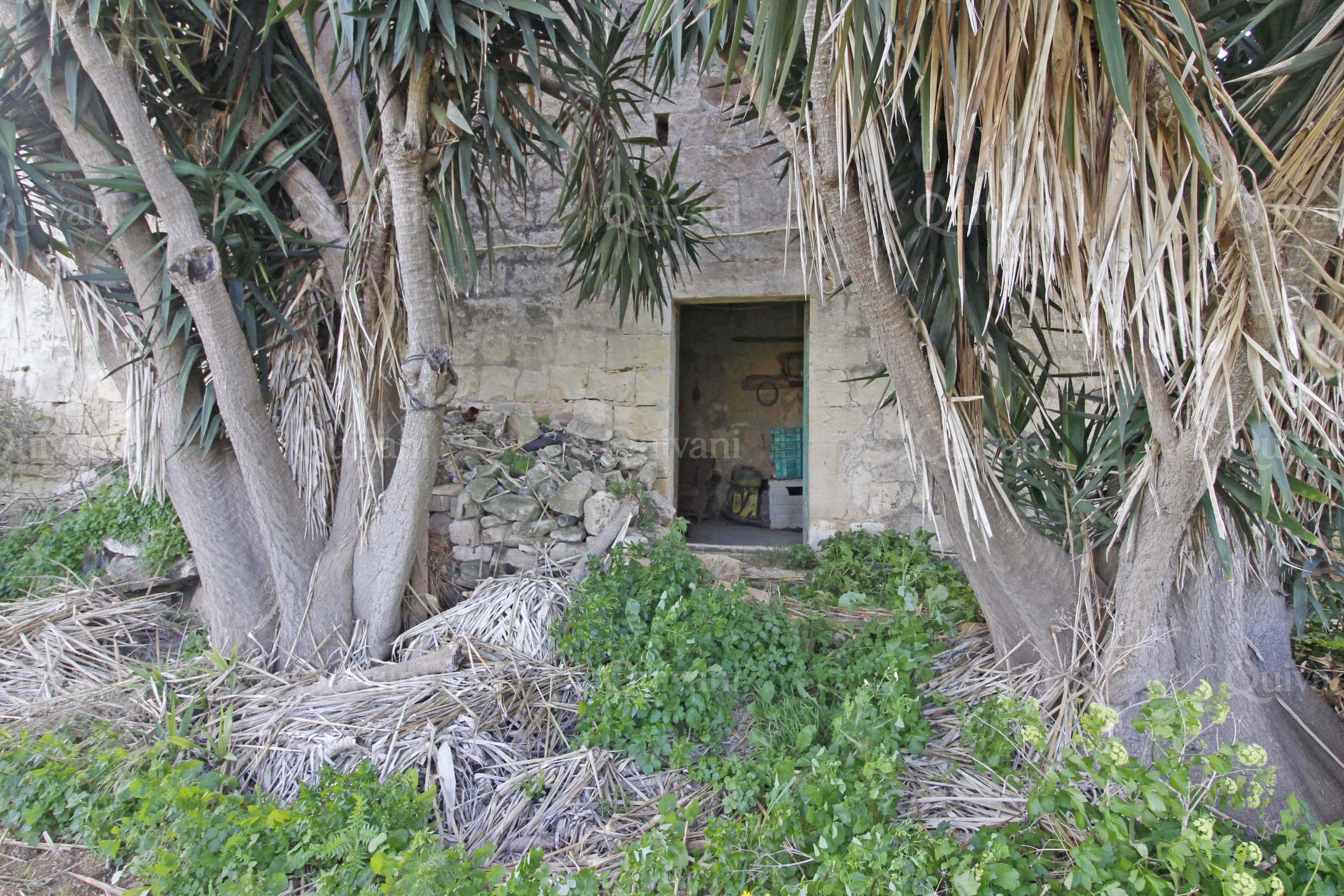 Zebbug, Unconverted Farmhouse