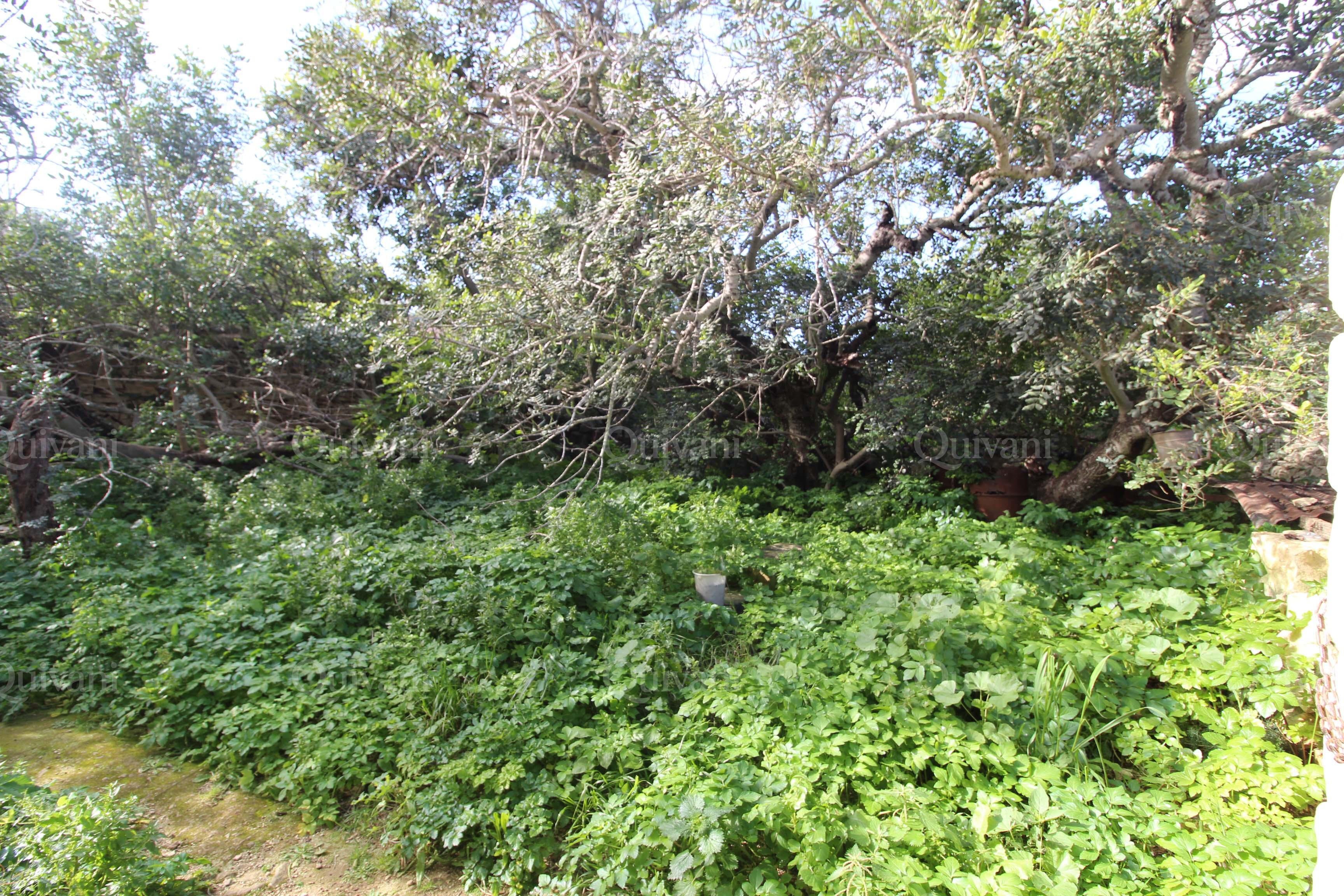 Zebbug, Unconverted Farmhouse