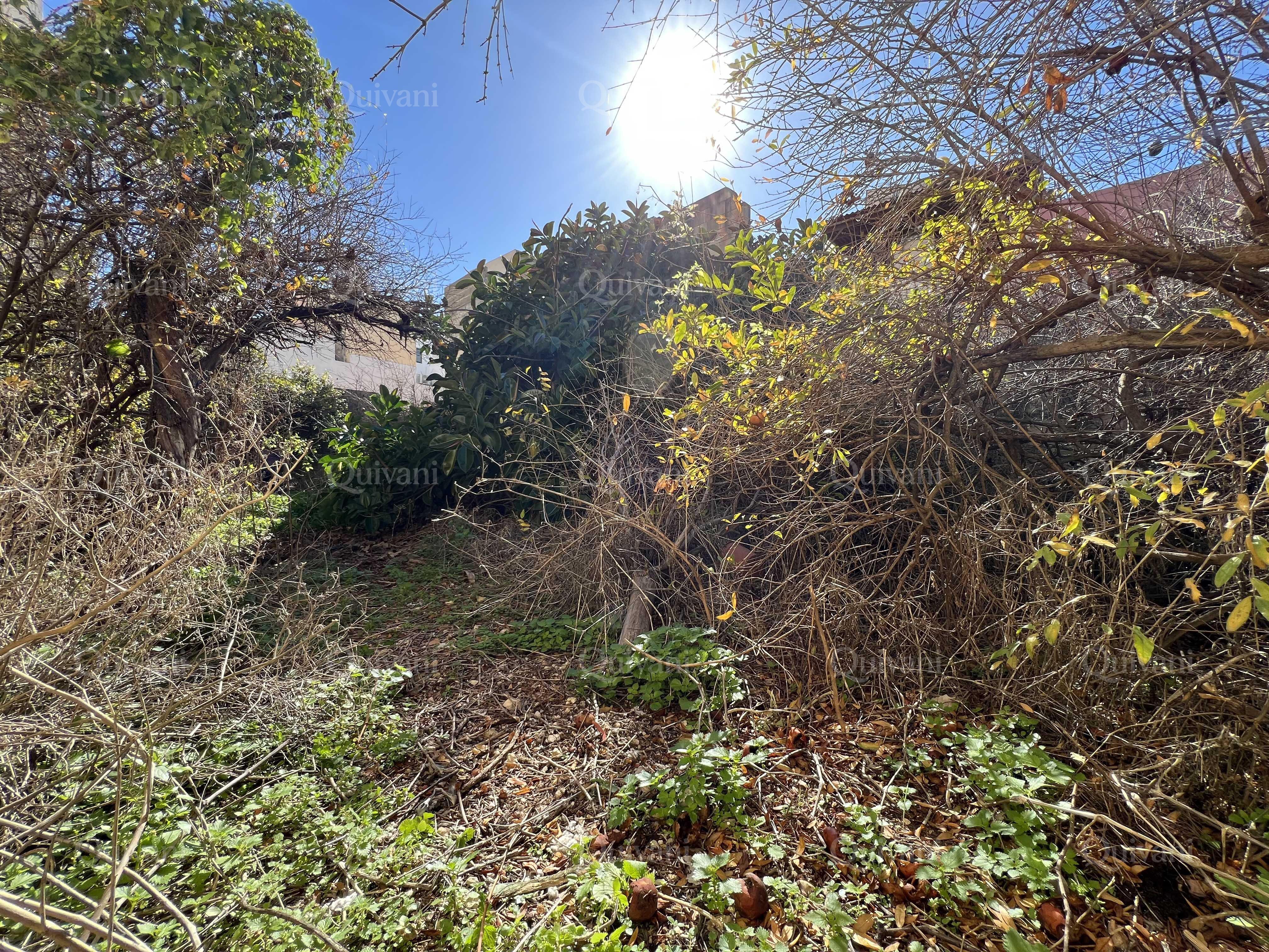 Tarxien, Townhouse with 400sqm Garden