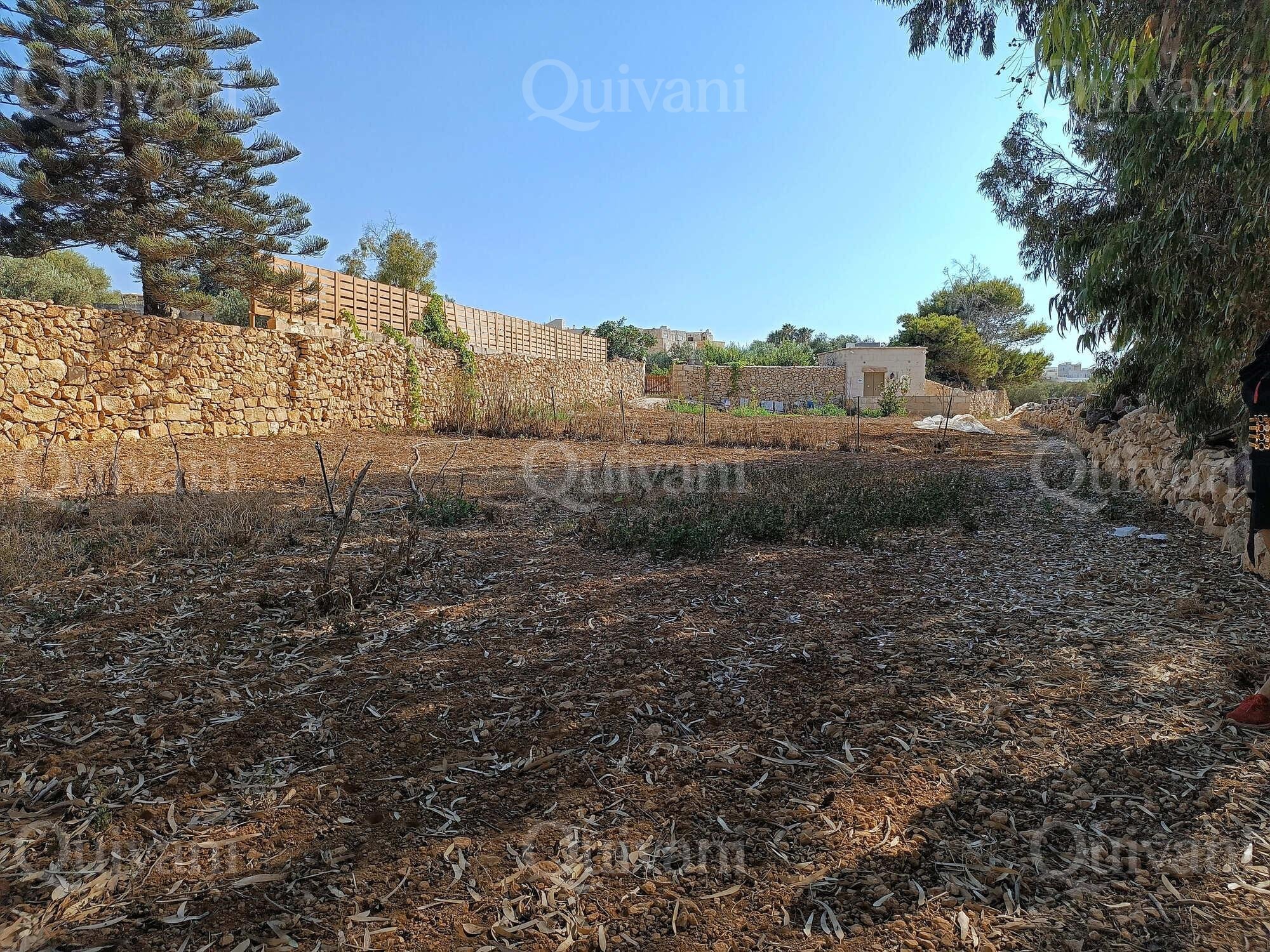 Zejtun 2 Tumoli Arable Land