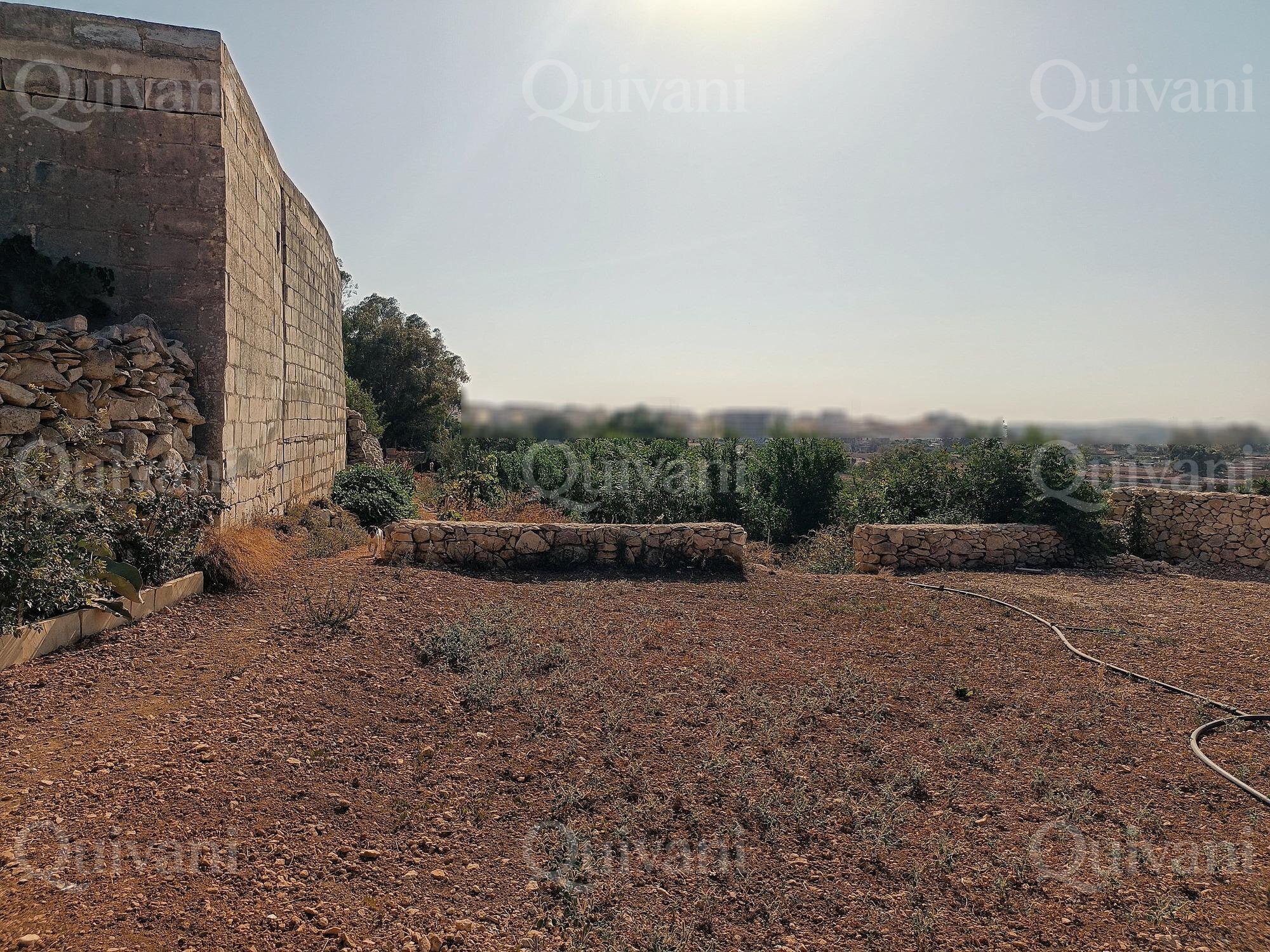 Zejtun 2 Tumoli Arable Land