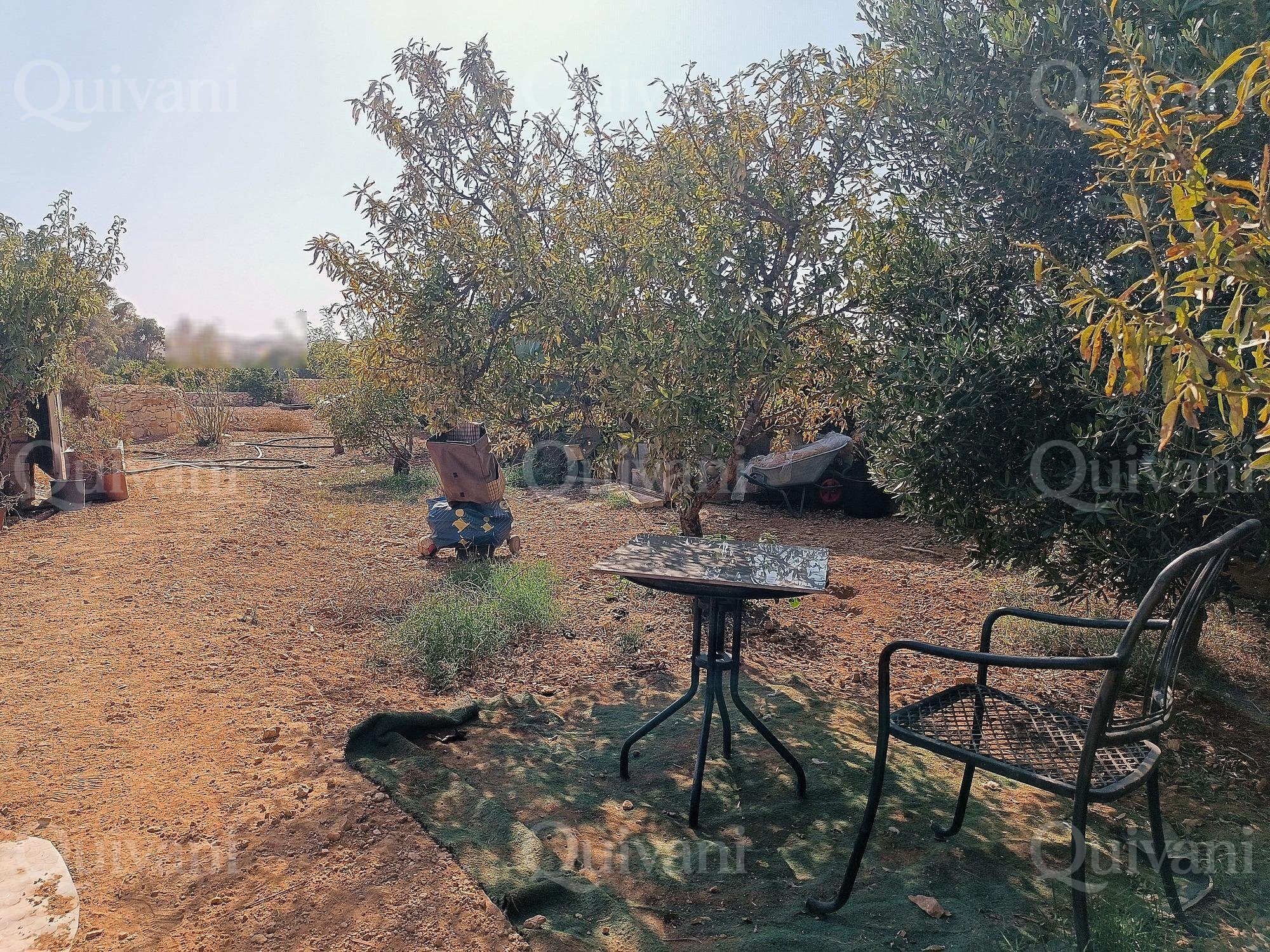 Zejtun 2 Tumoli Arable Land