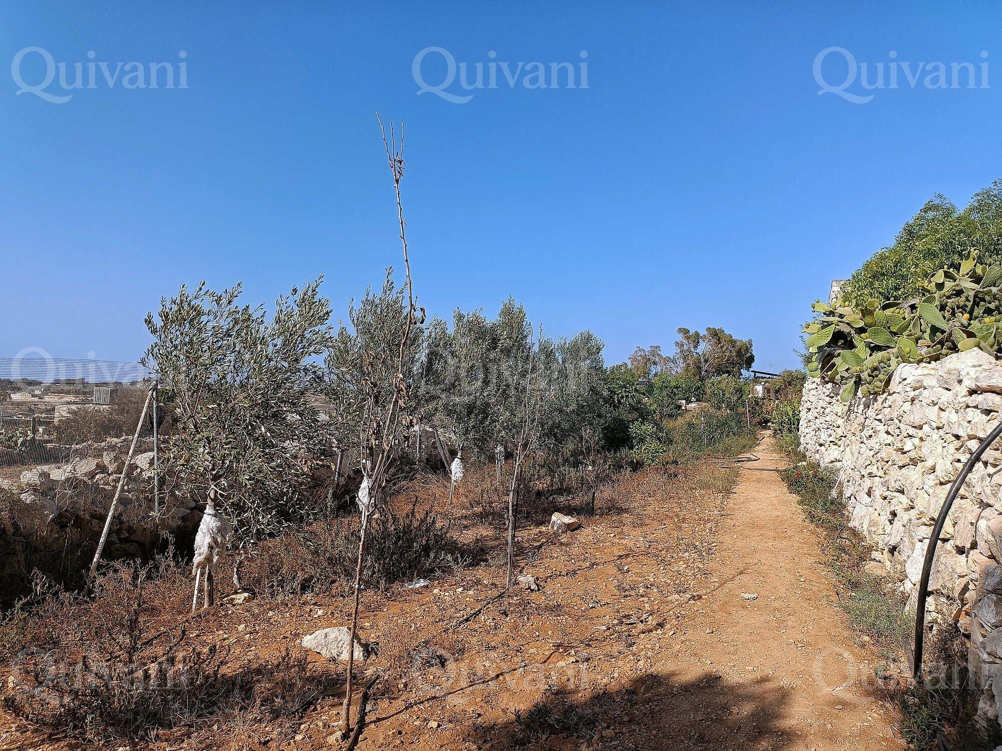 Zejtun 2 Tumoli Arable Land