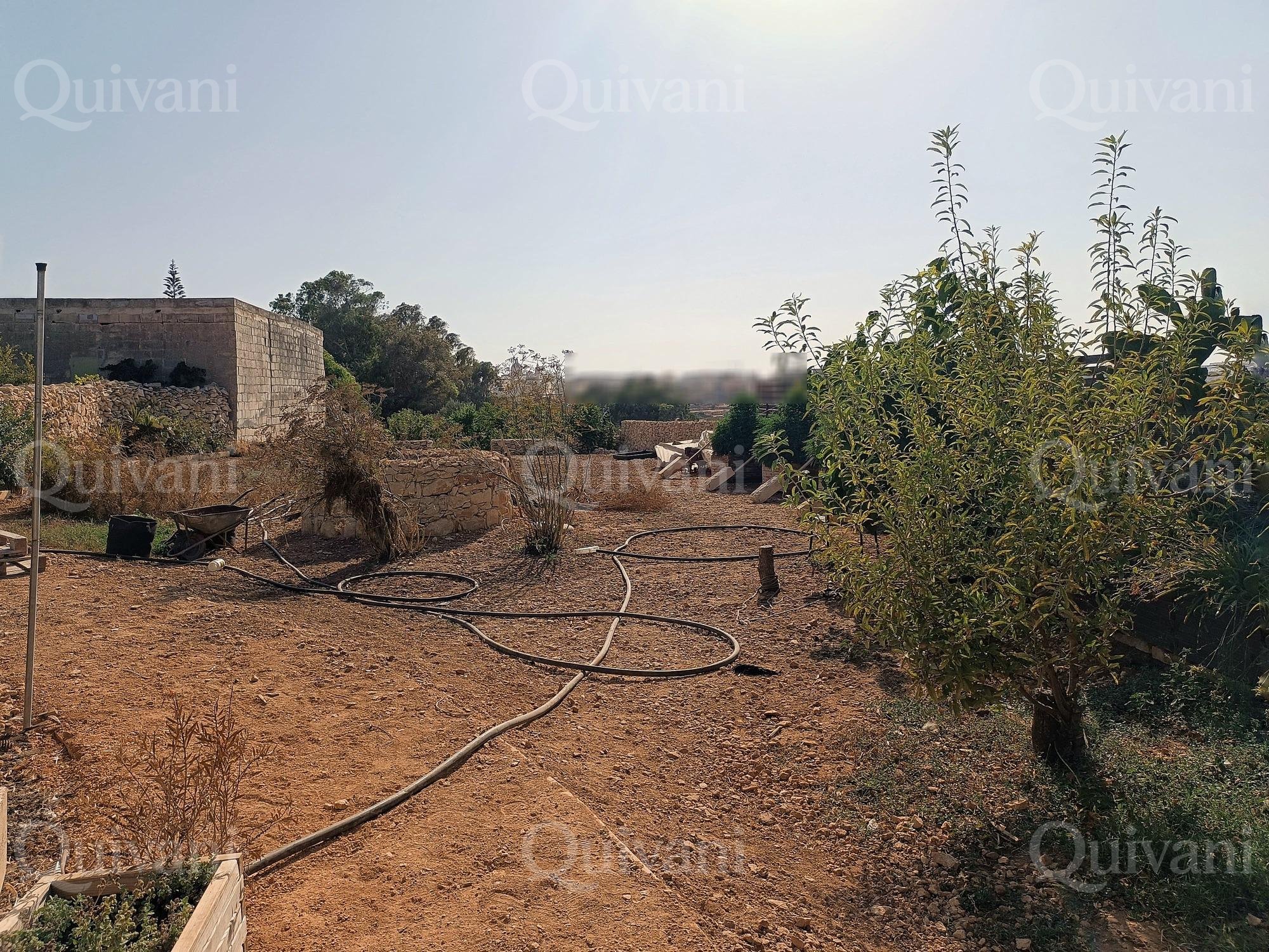 Zejtun 2 Tumoli Arable Land