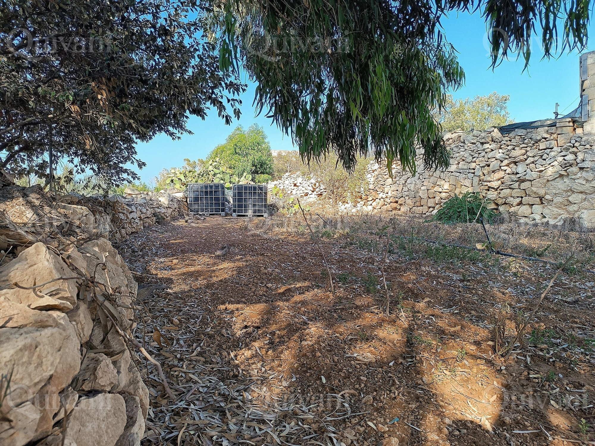Zejtun 2 Tumoli Arable Land