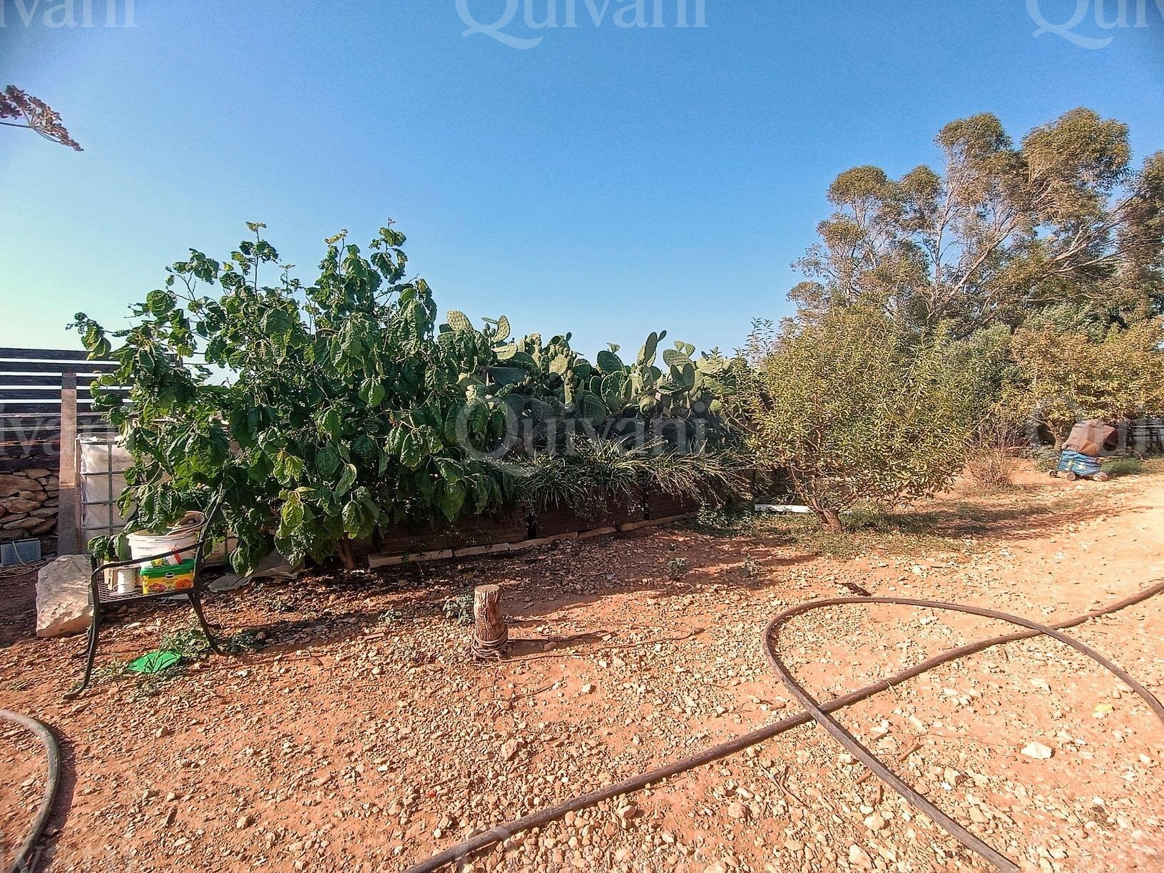 Zejtun 2 Tumoli Arable Land