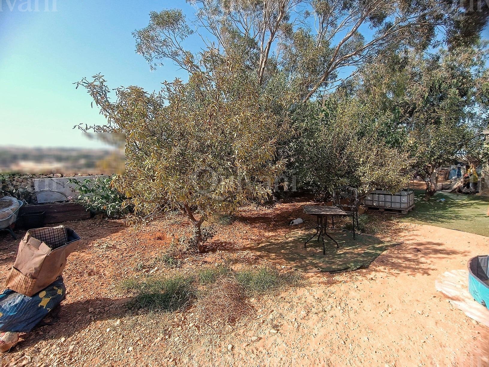 Zejtun 2 Tumoli Arable Land