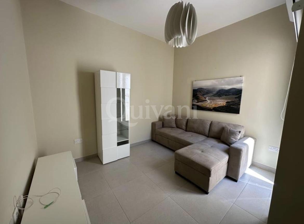 Hamrun, Furnished Penthouse