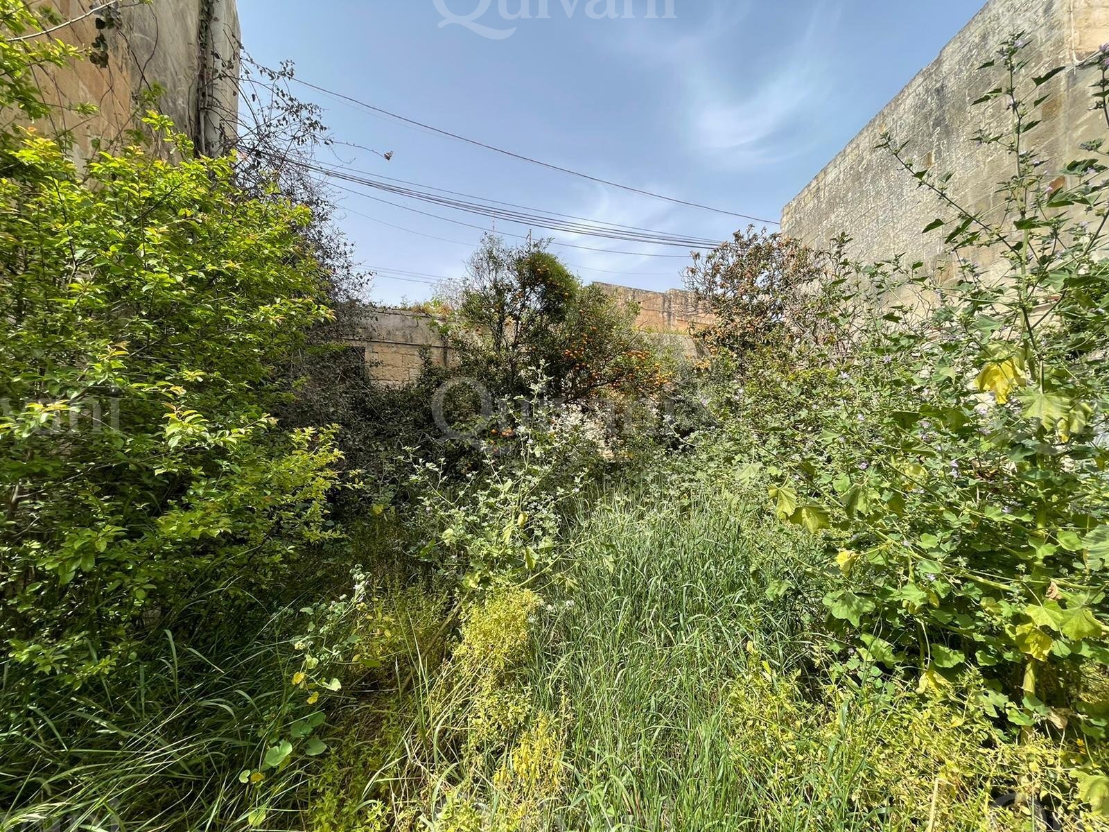 Attard, Unconverted Town House
