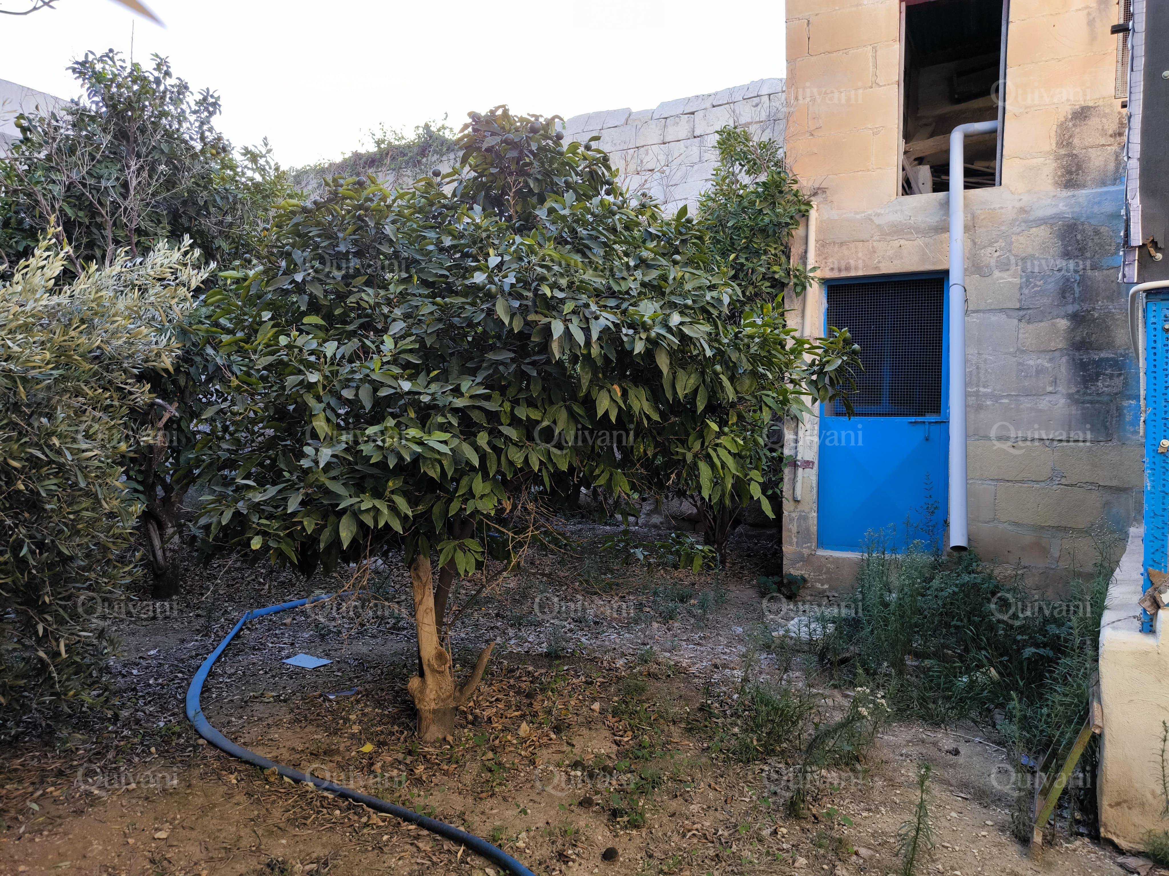 Zebbug, Unconverted Farmhouse