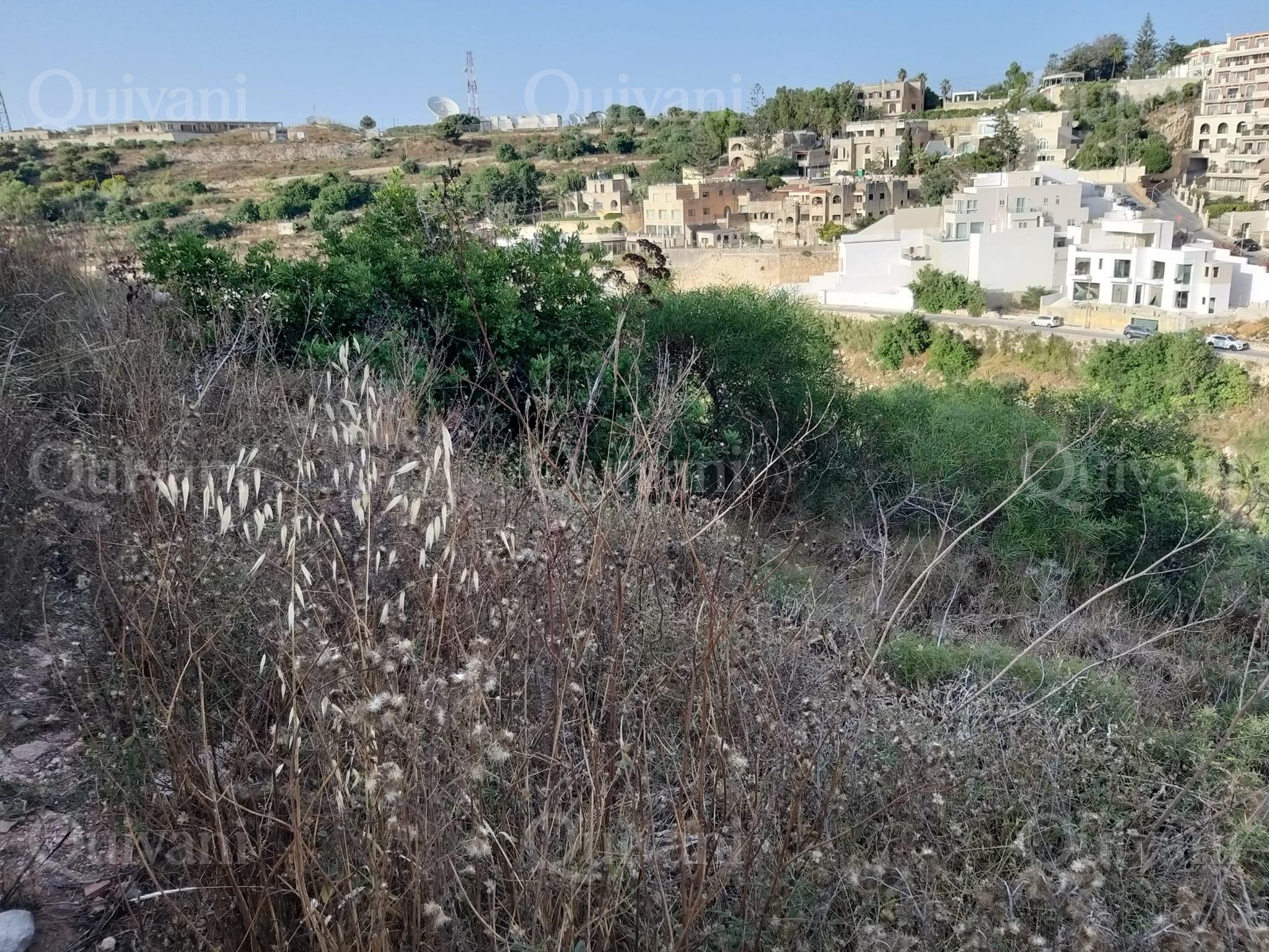 Madliena