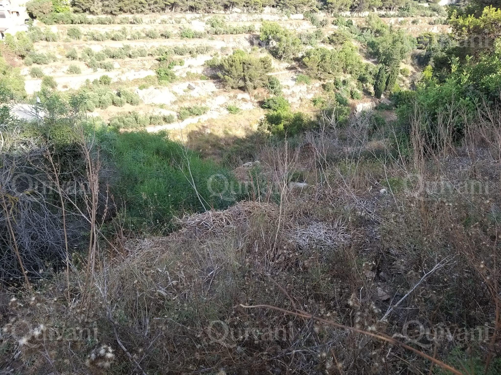 Madliena