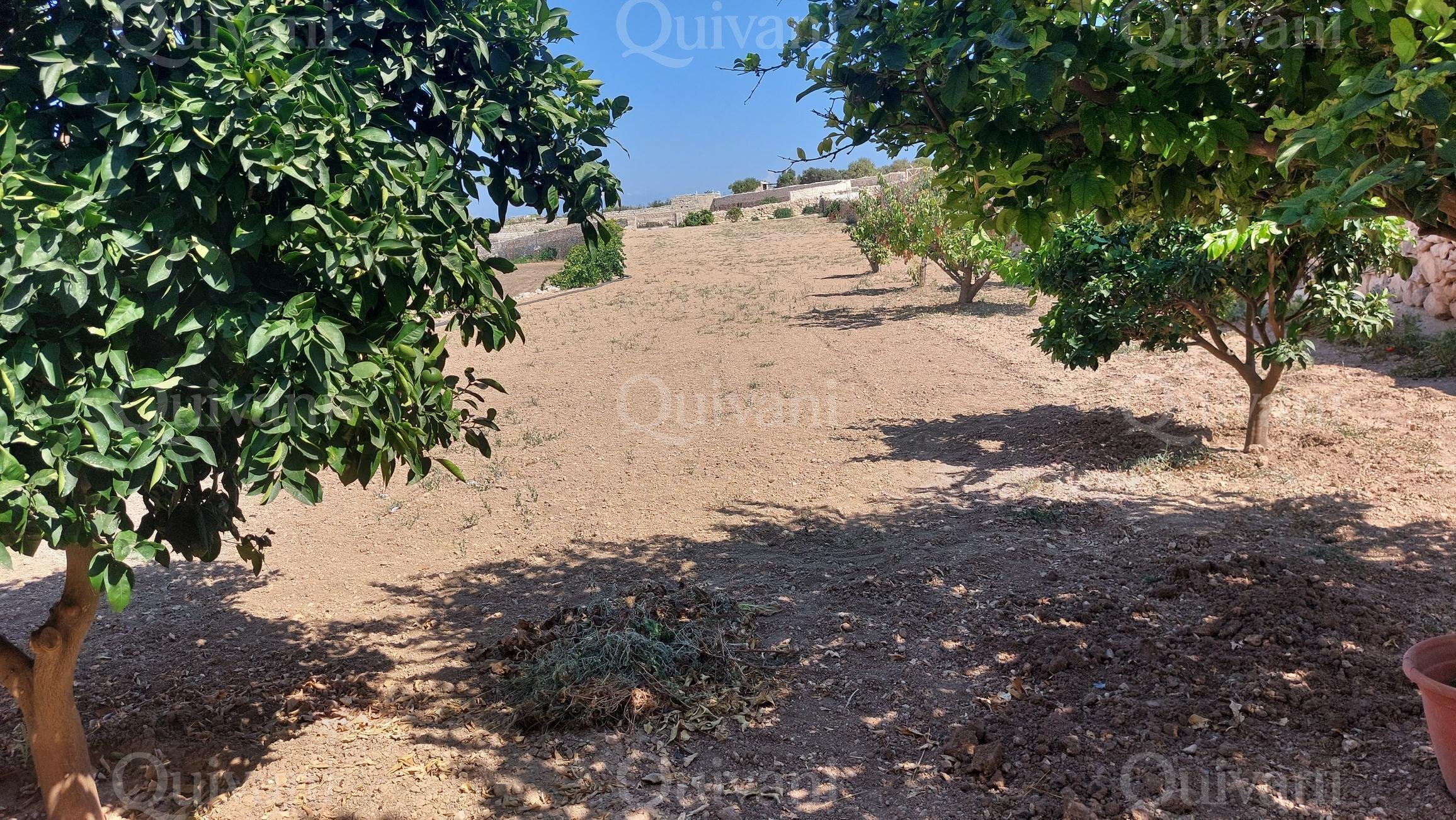 Zebbug, Furnished Farmhouse