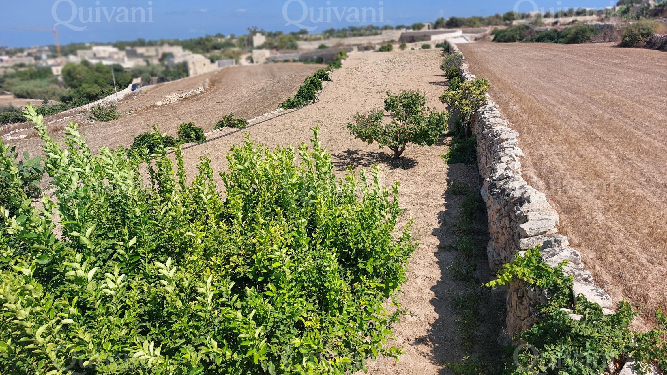 Zebbug, Furnished Farmhouse