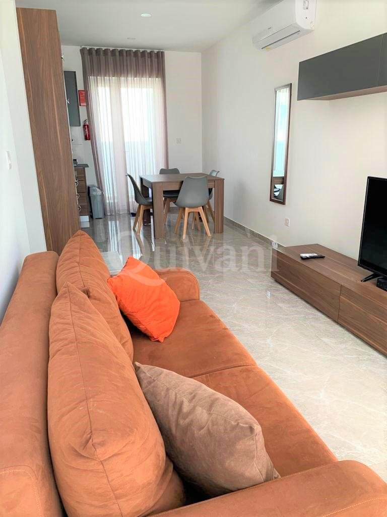 Hamrun, Furnished Penthouse
