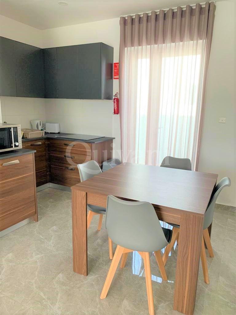 Hamrun, Furnished Penthouse