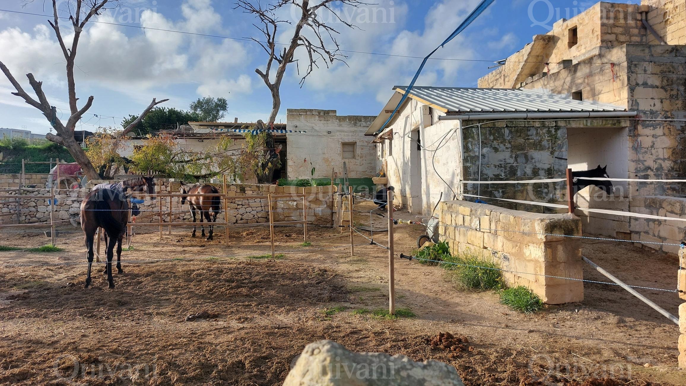 Qormi, Unconverted House of Character