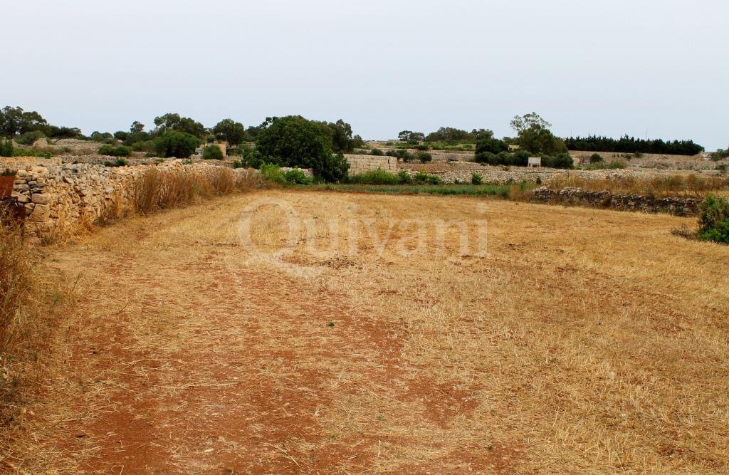Safi, n/a Agricultural Land