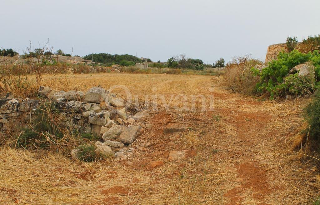 Safi, n/a Agricultural Land