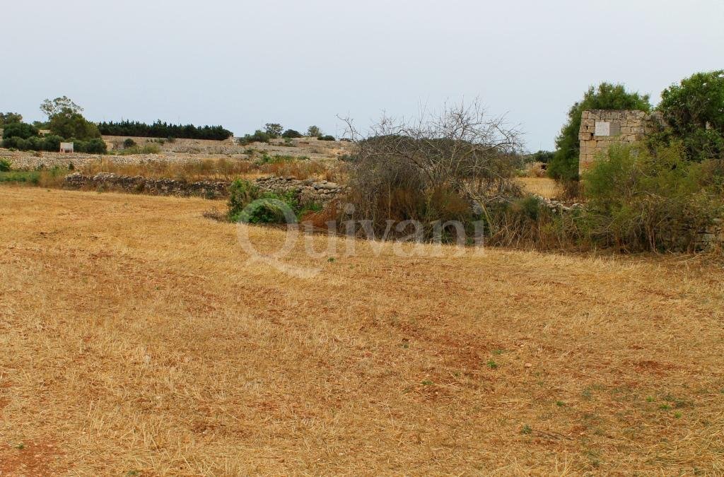 Safi, n/a Agricultural Land