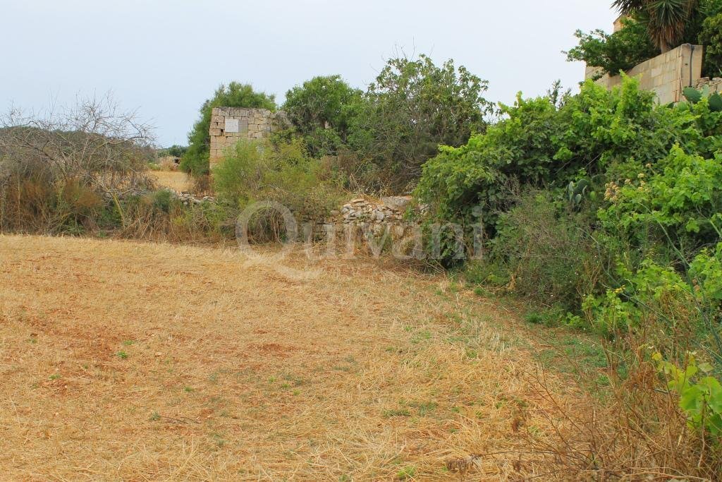 Safi, n/a Agricultural Land