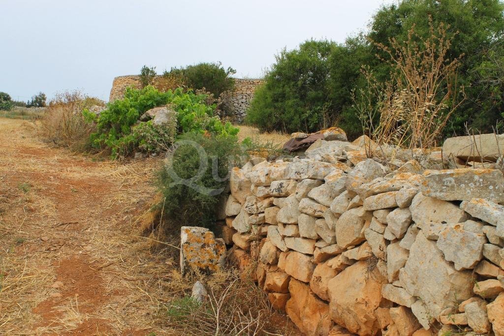 Safi, n/a Agricultural Land