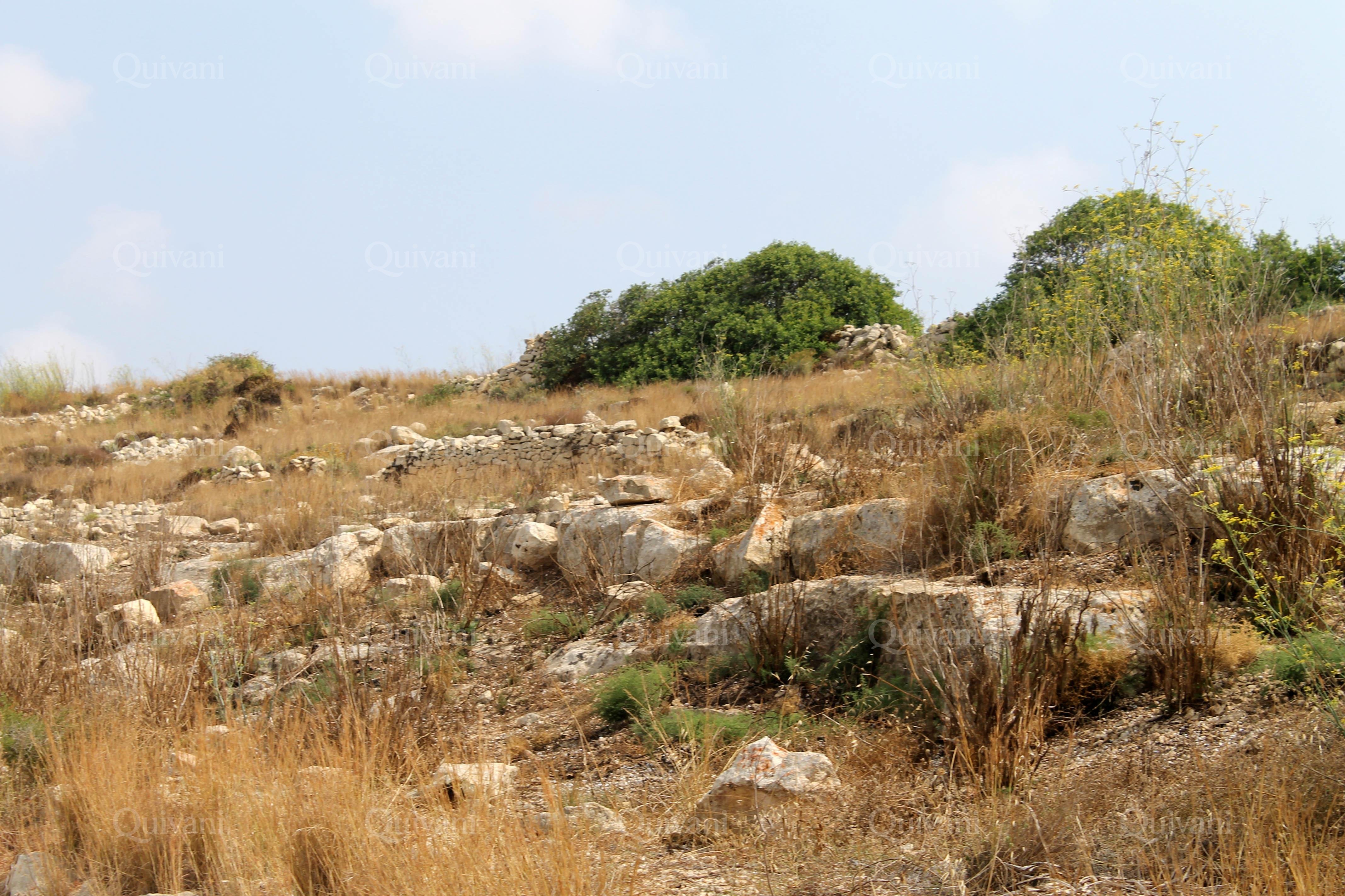 Birzebbugia Agricultural Land