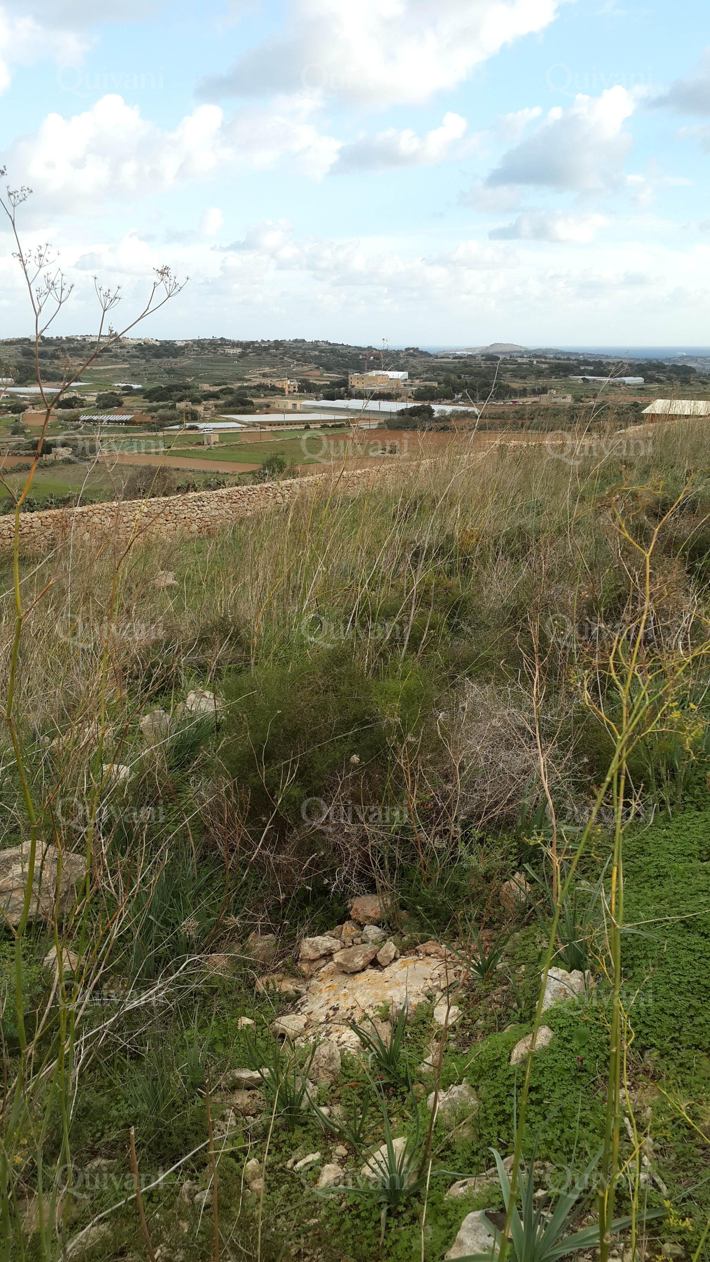 Mgarr Agricultural Land