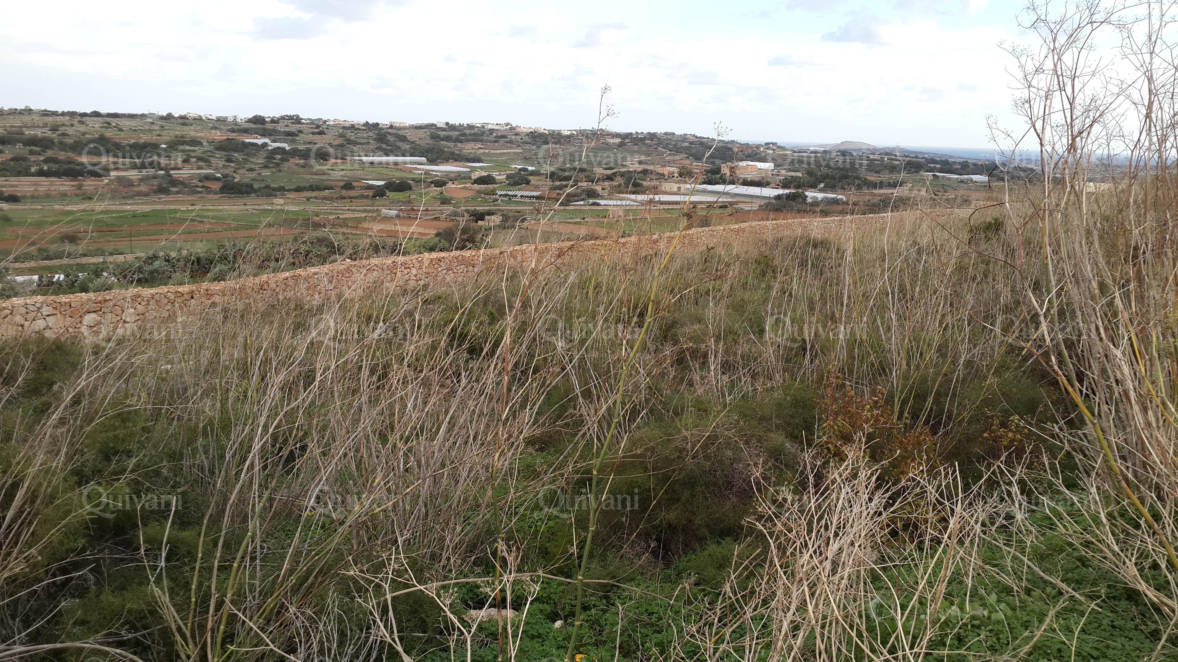 Mgarr Agricultural Land