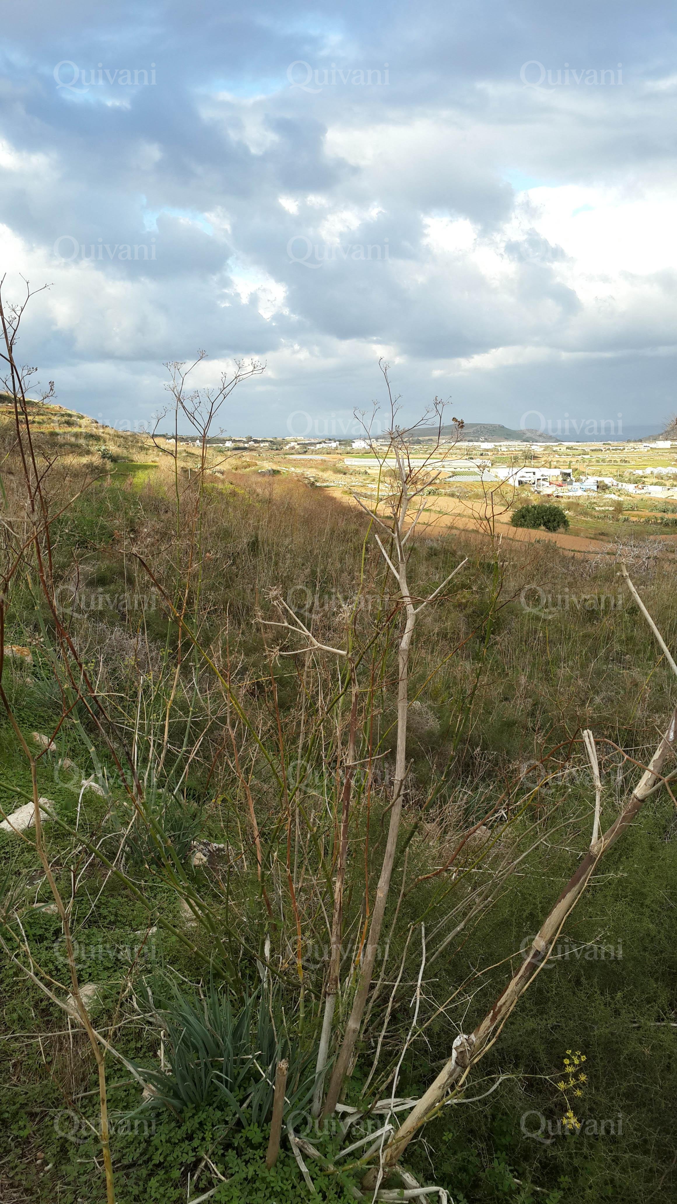 Mgarr Agricultural Land
