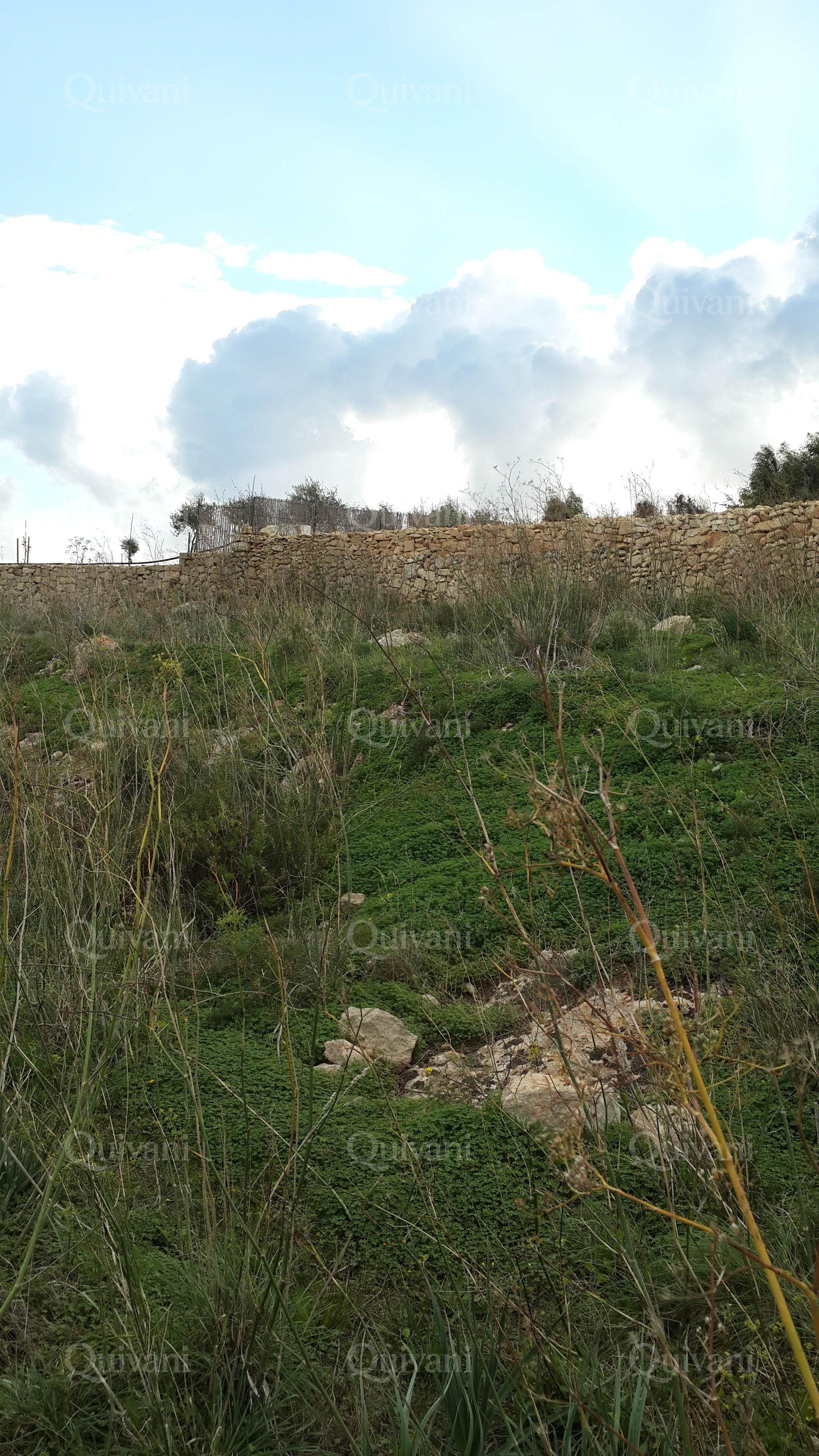 Mgarr Agricultural Land
