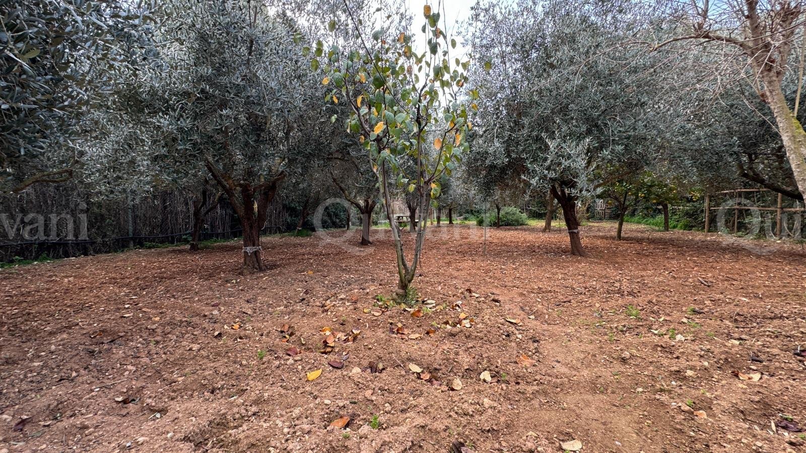 Mellieha, Finished Bungalow