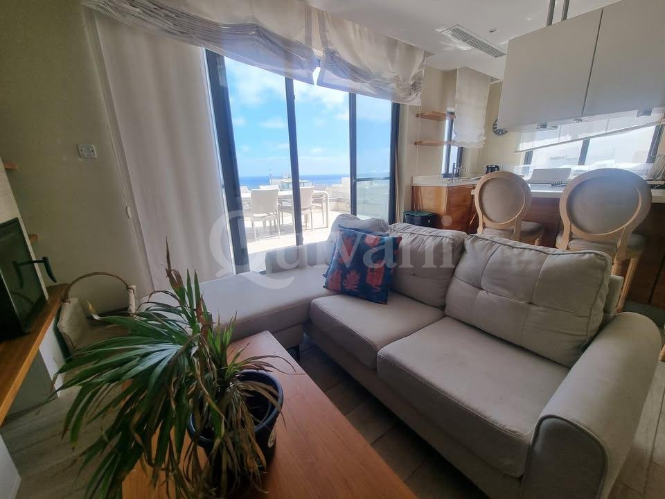 Pembroke, Furnished Elevated Maisonette