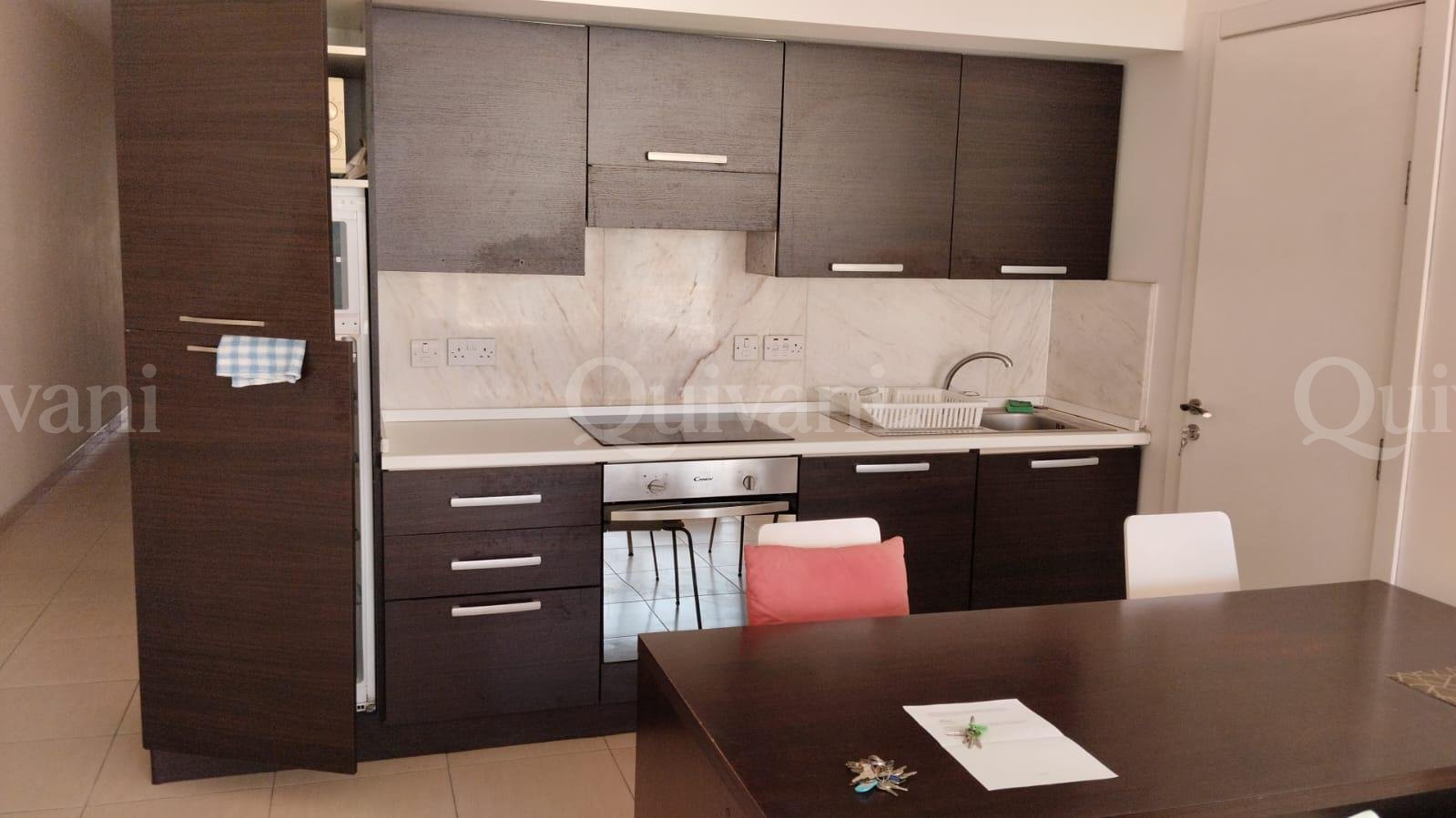 Msida, Furnished Penthouse