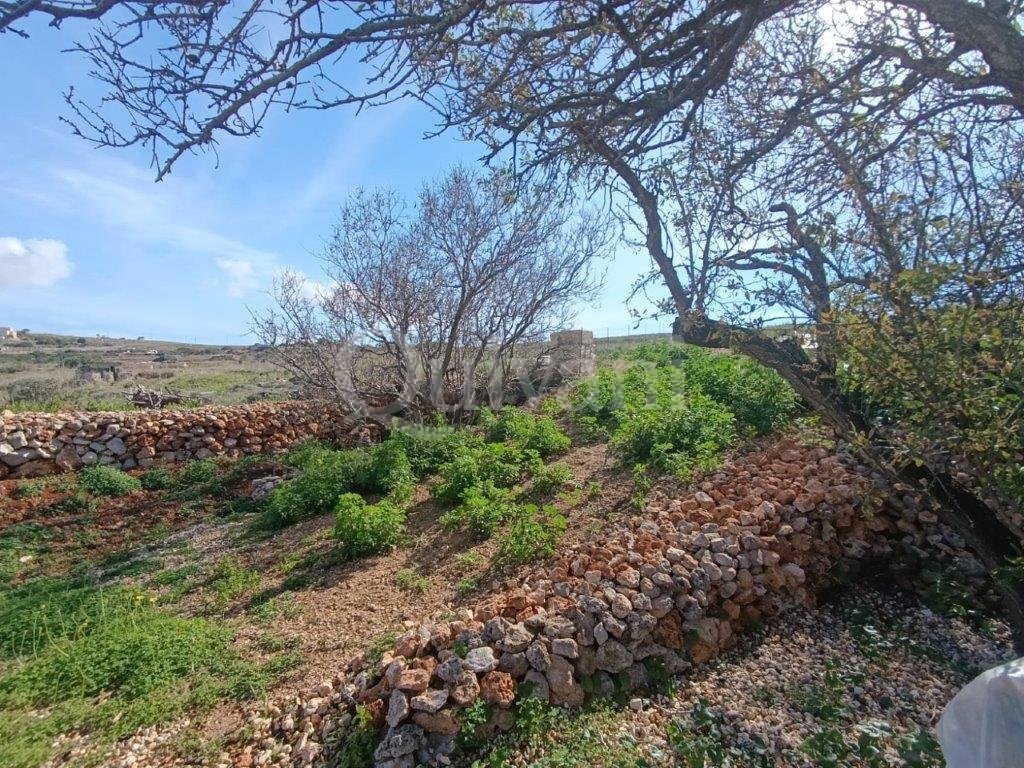 Mgarr
