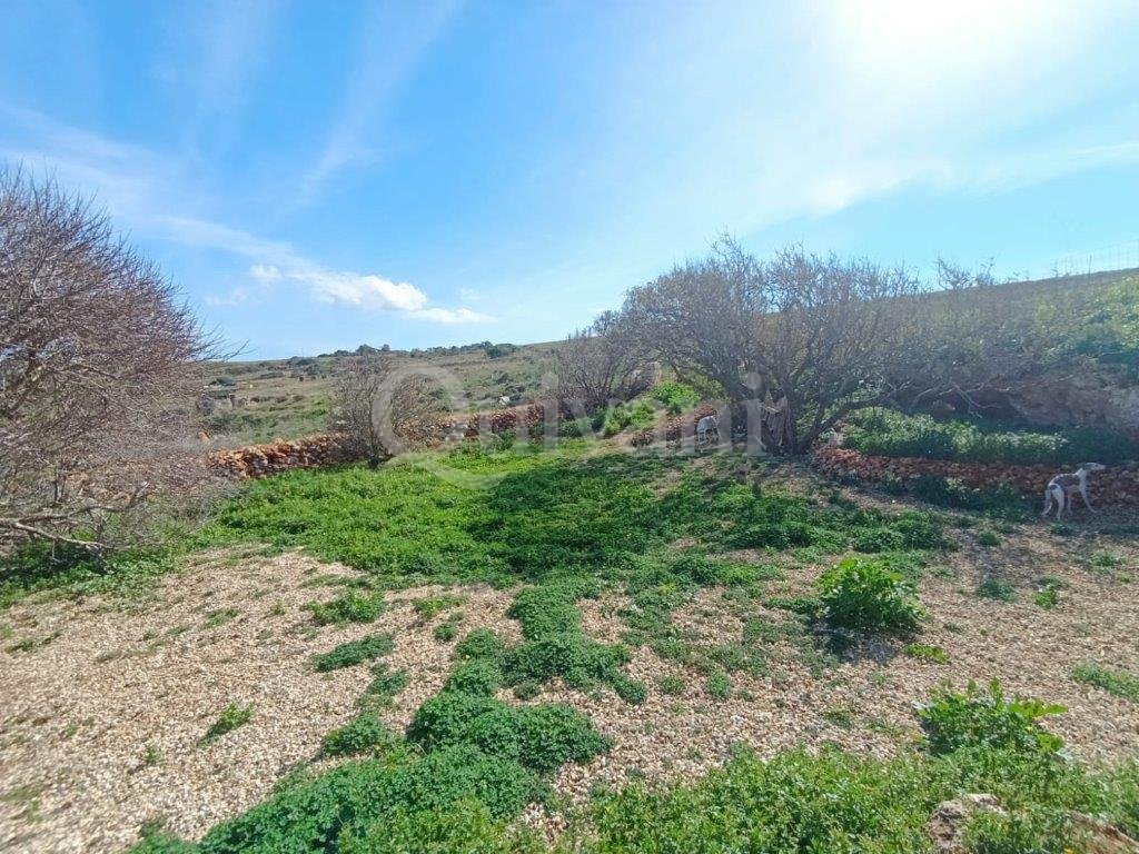 Mgarr