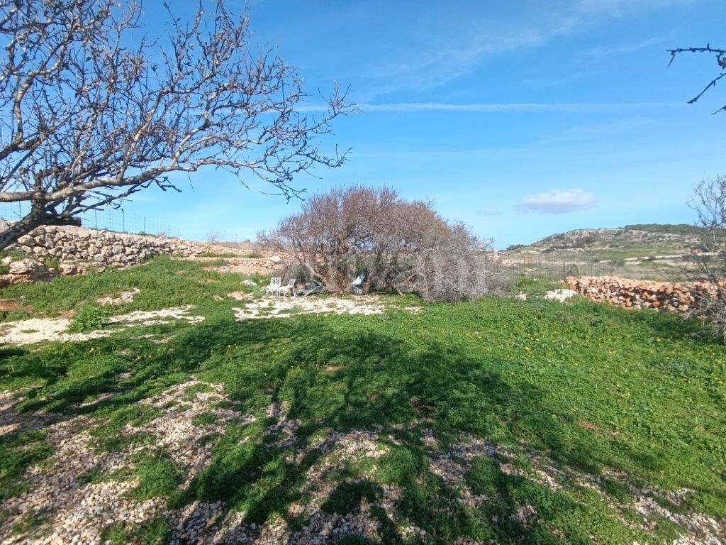 Mgarr