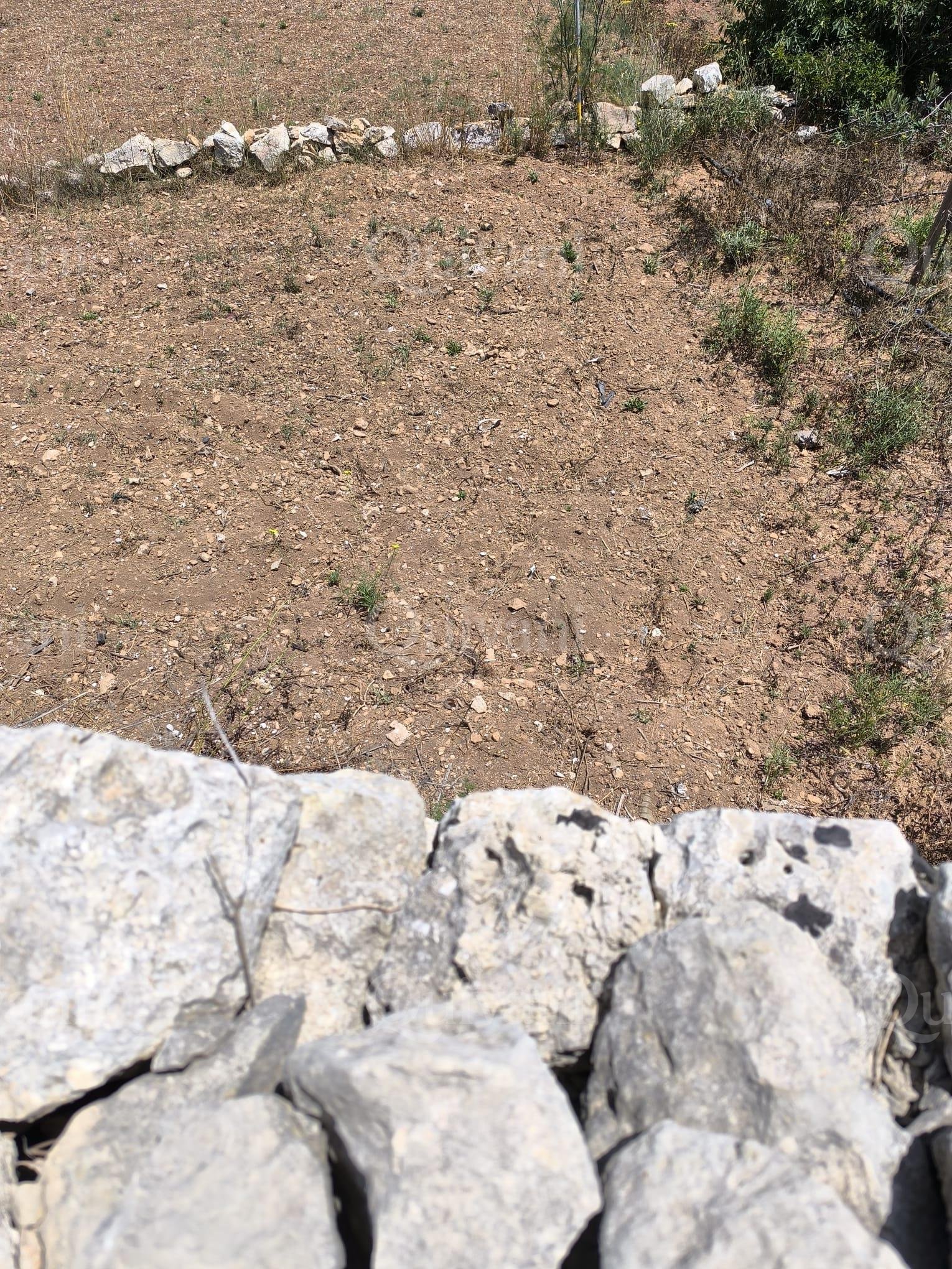 Agricultural  land