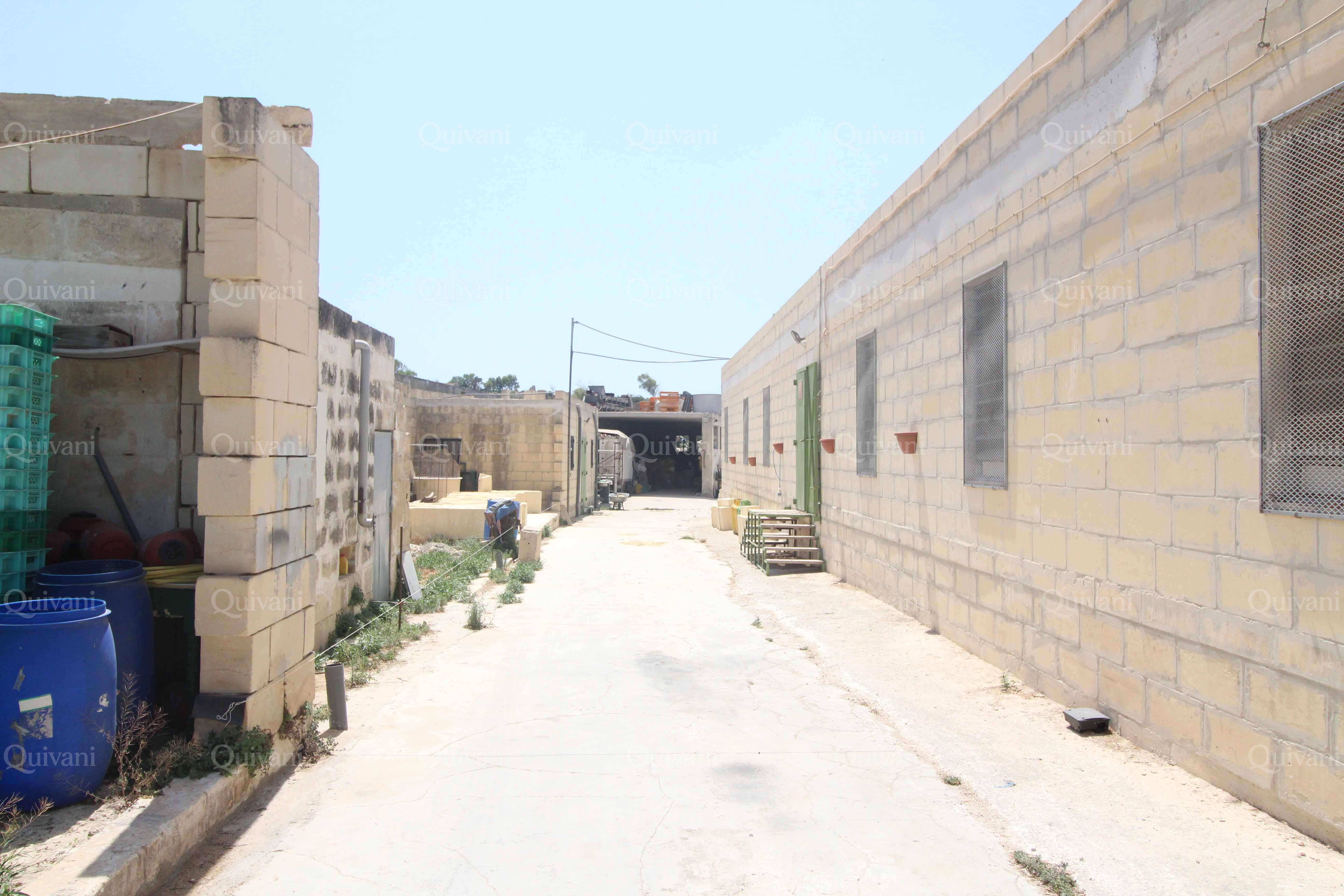 Zebbug Agricultural Land