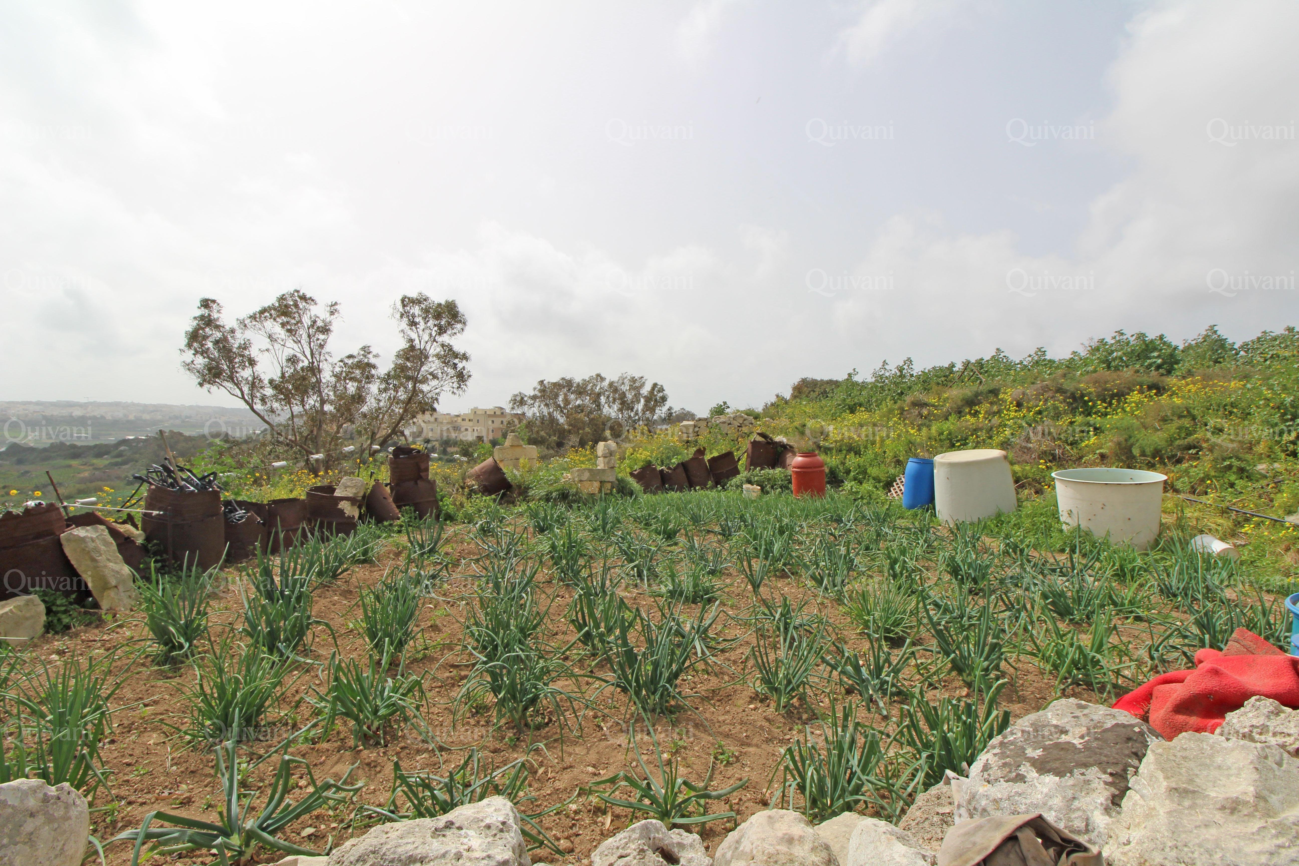 Rabat, Unconverted Farmhouse