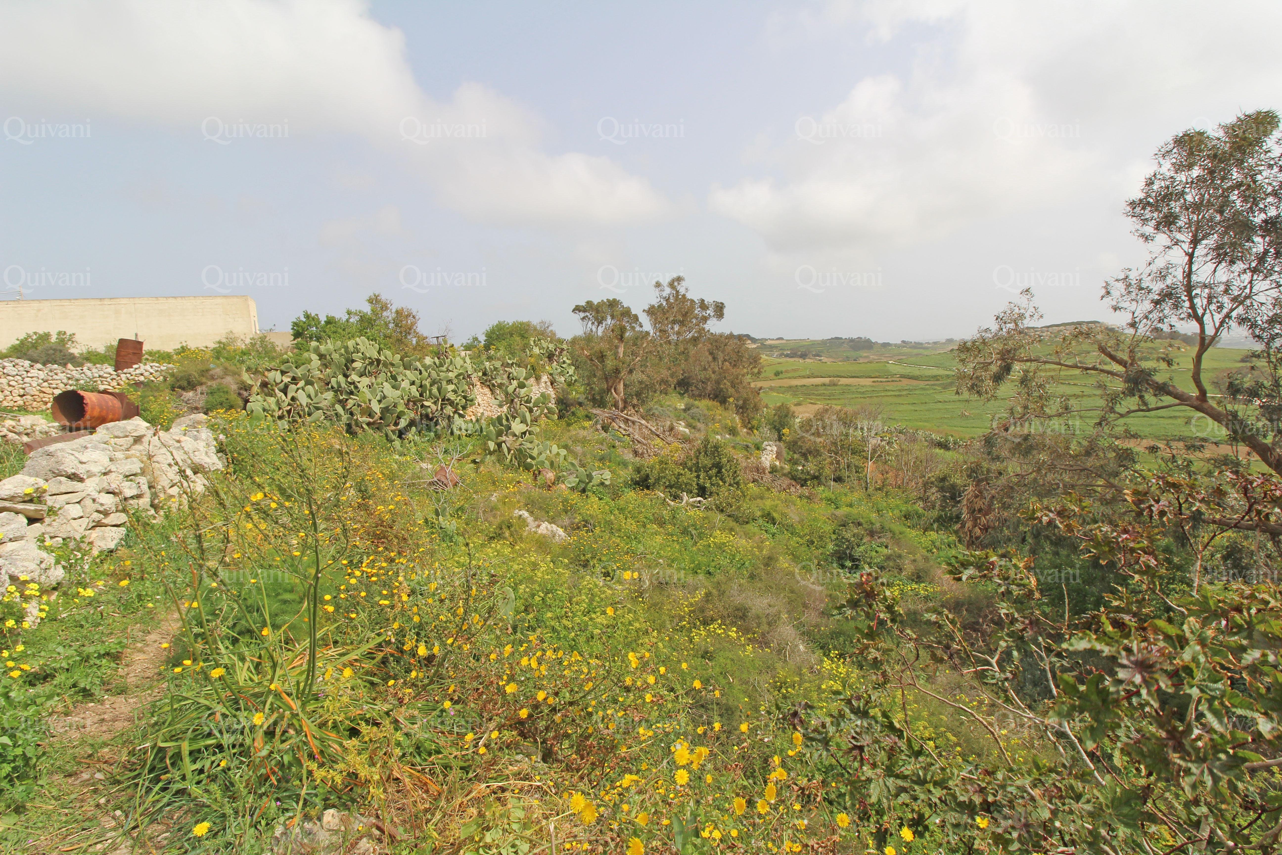 Rabat, Unconverted Farmhouse