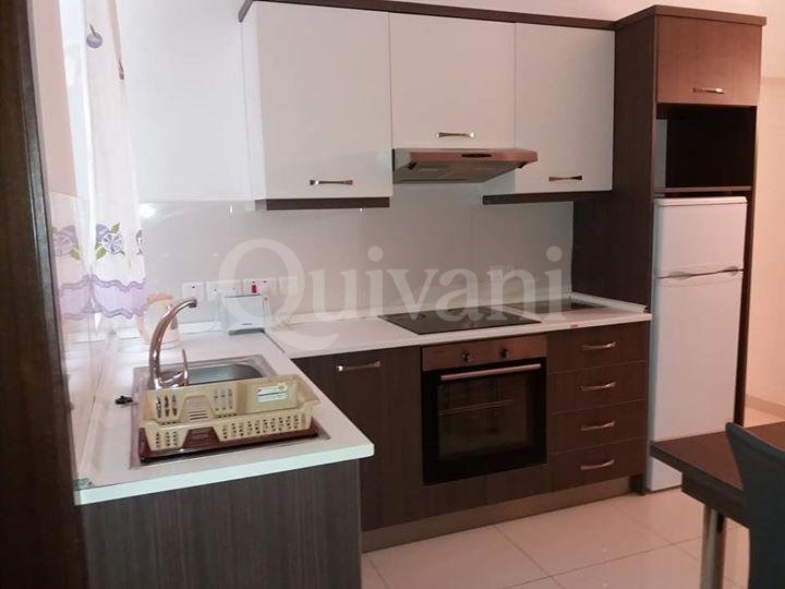 Msida, Finished Apartment