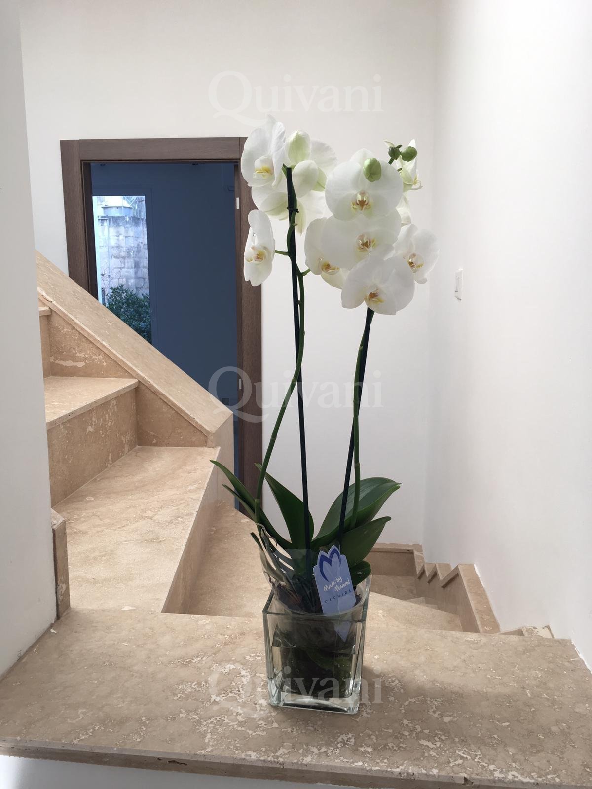 Sliema, Furnished Terraced House