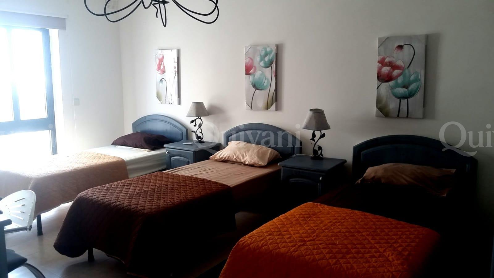 Msida, Furnished Penthouse