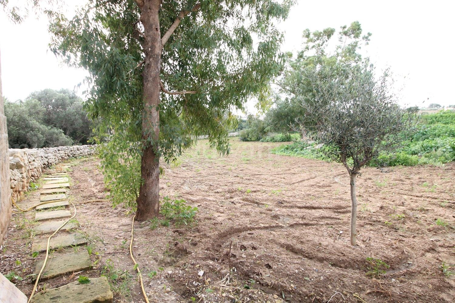 Qormi, Furnished Farmhouse