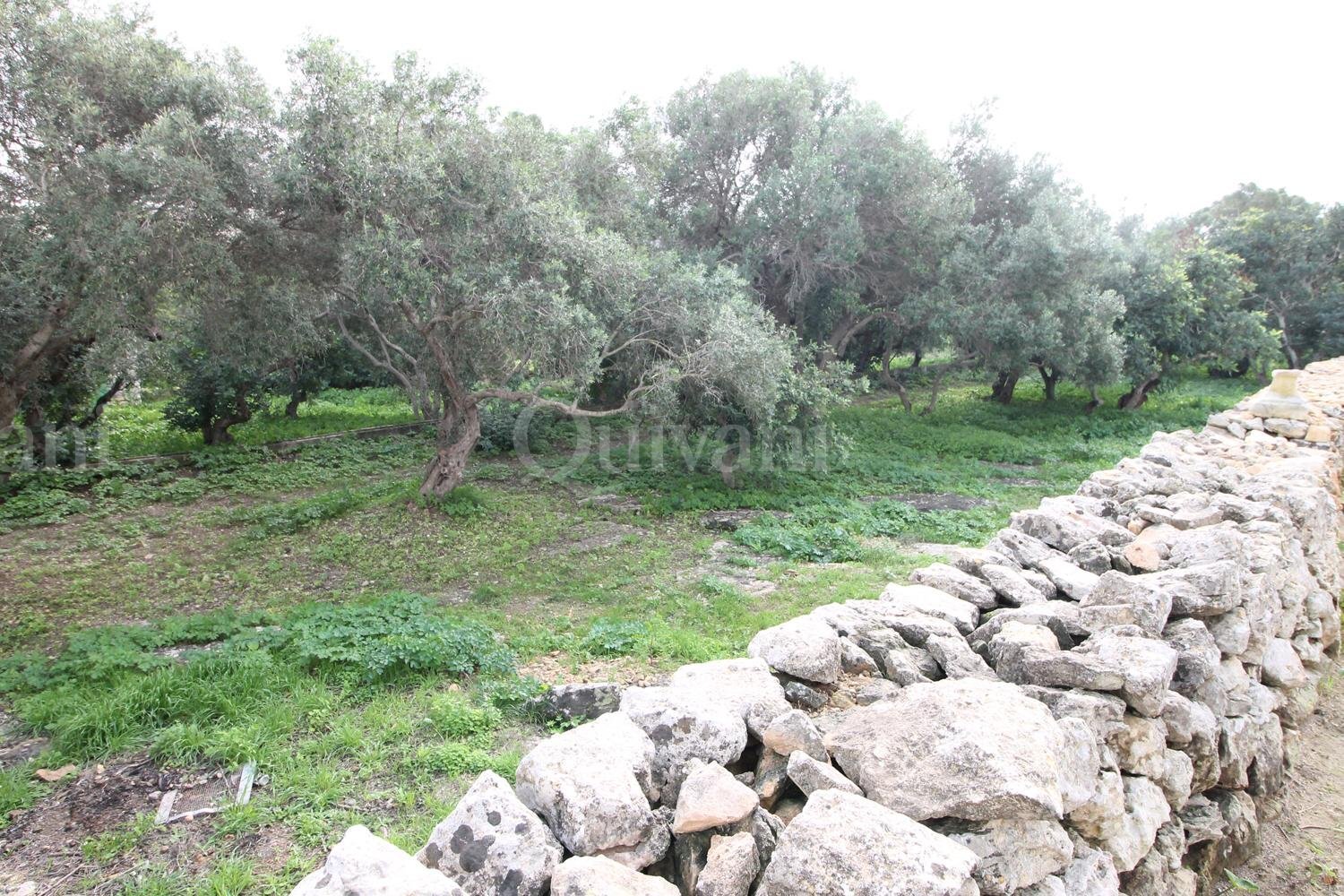 Qormi, Furnished Farmhouse