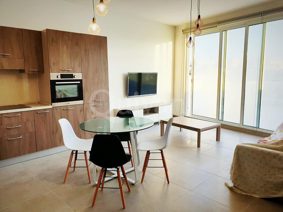 Swatar, Furnished Penthouse